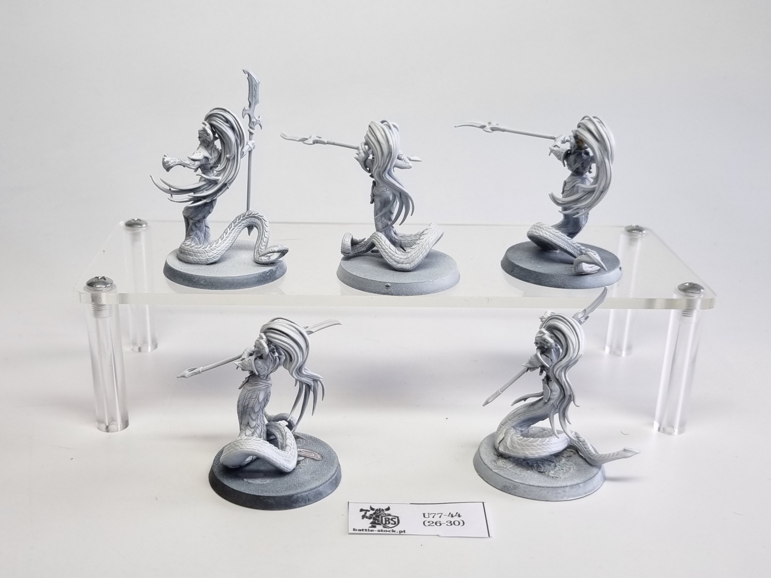 AoS blood stalkers / sisters
