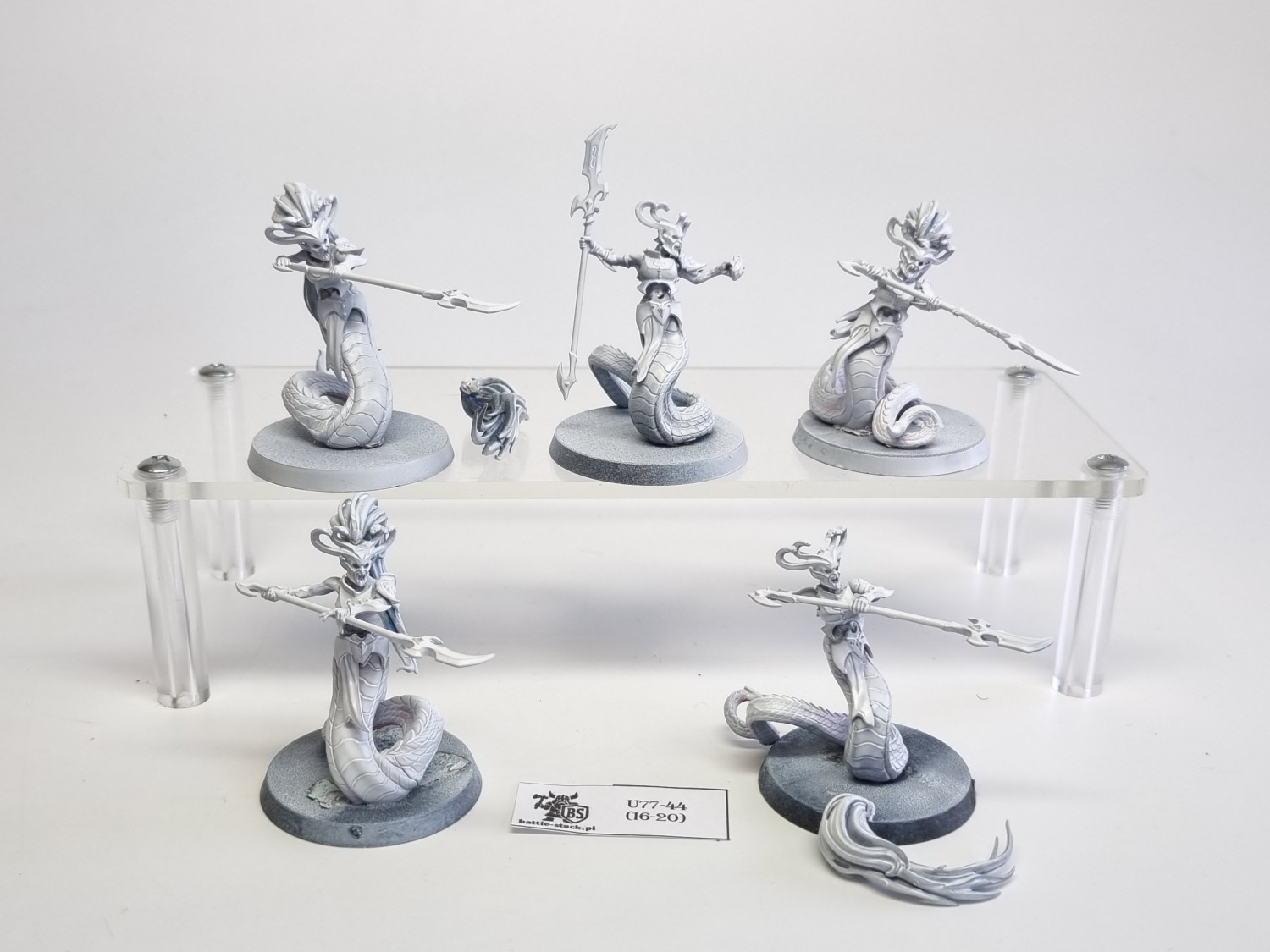 AoS blood stalkers / sisters