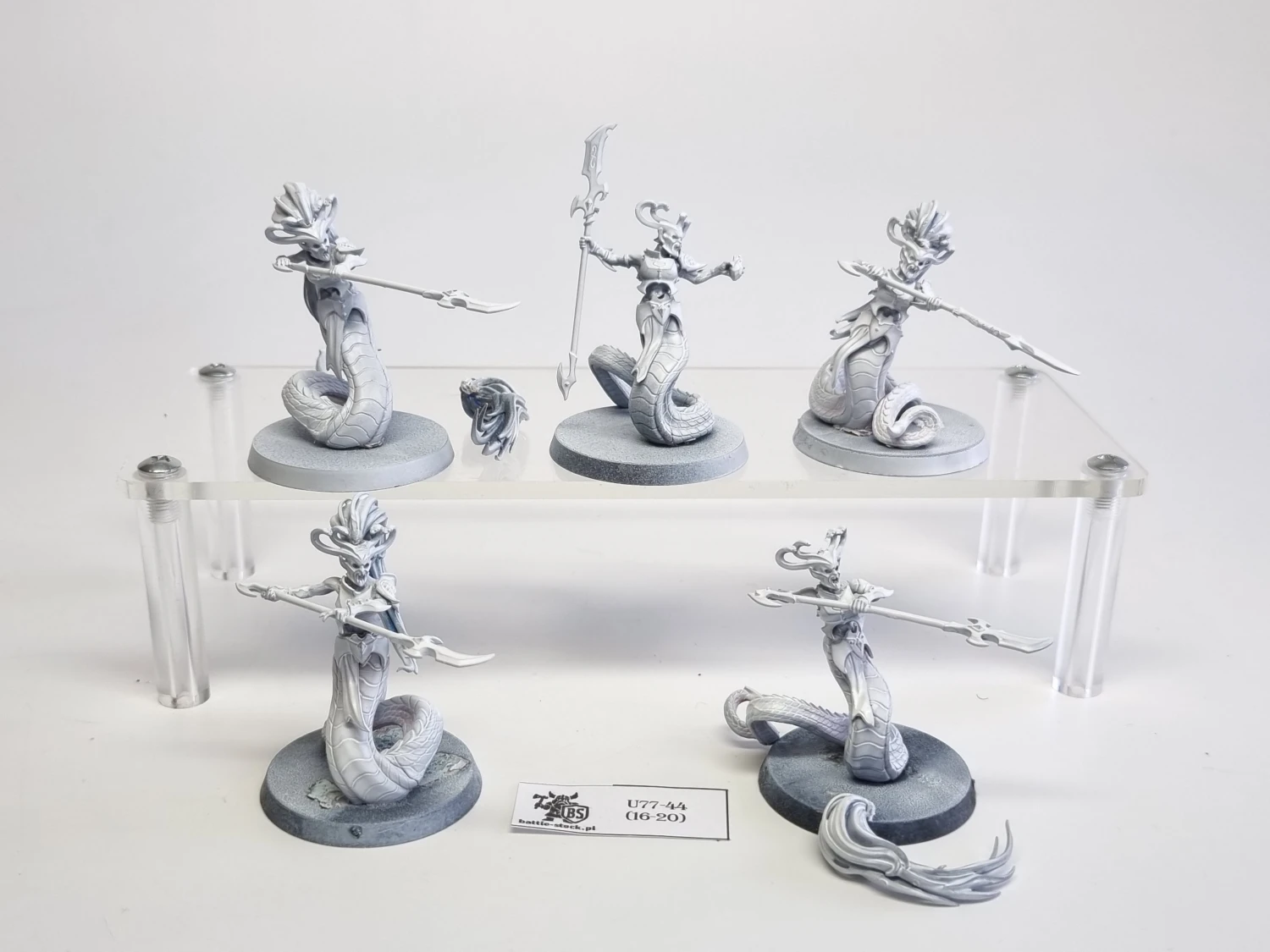 AoS blood stalkers / sisters