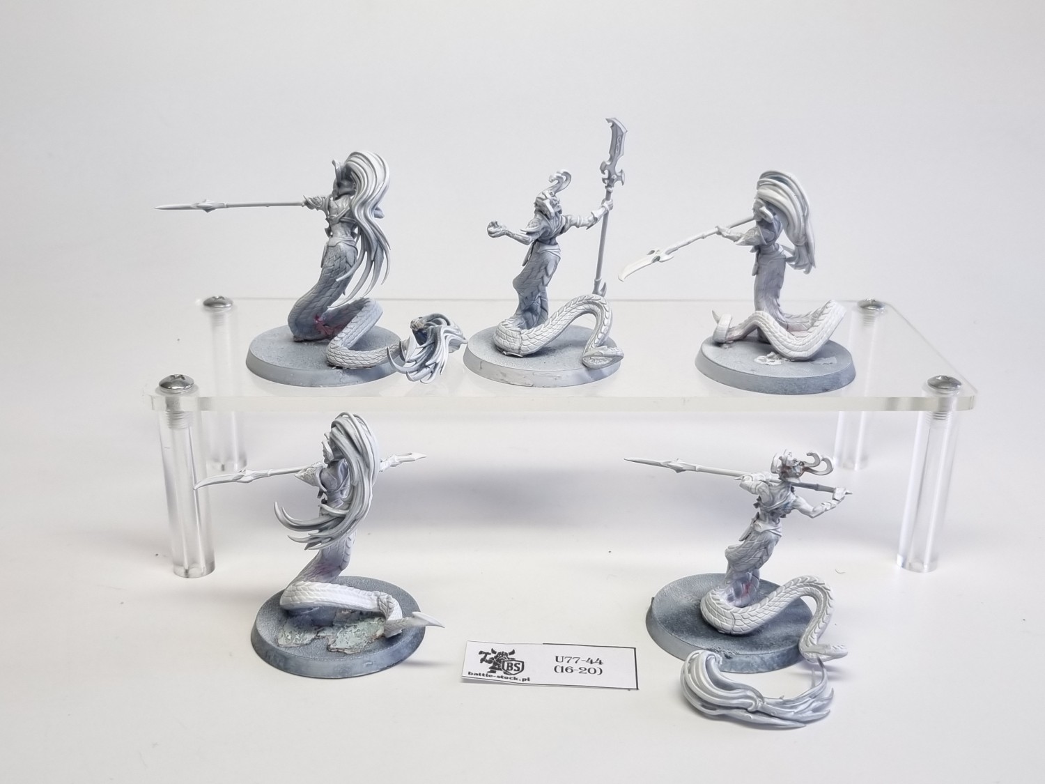 AoS blood stalkers / sisters