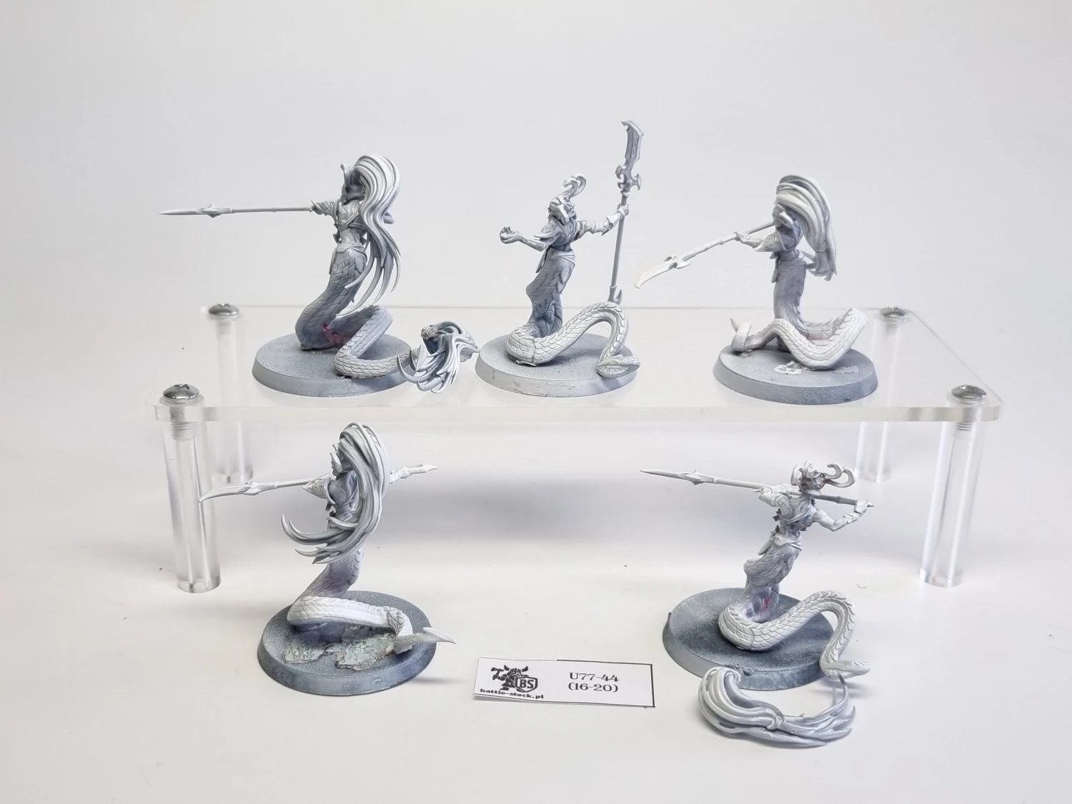 AoS blood stalkers / sisters