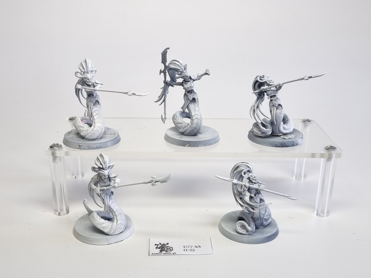 AoS blood stalkers / sisters