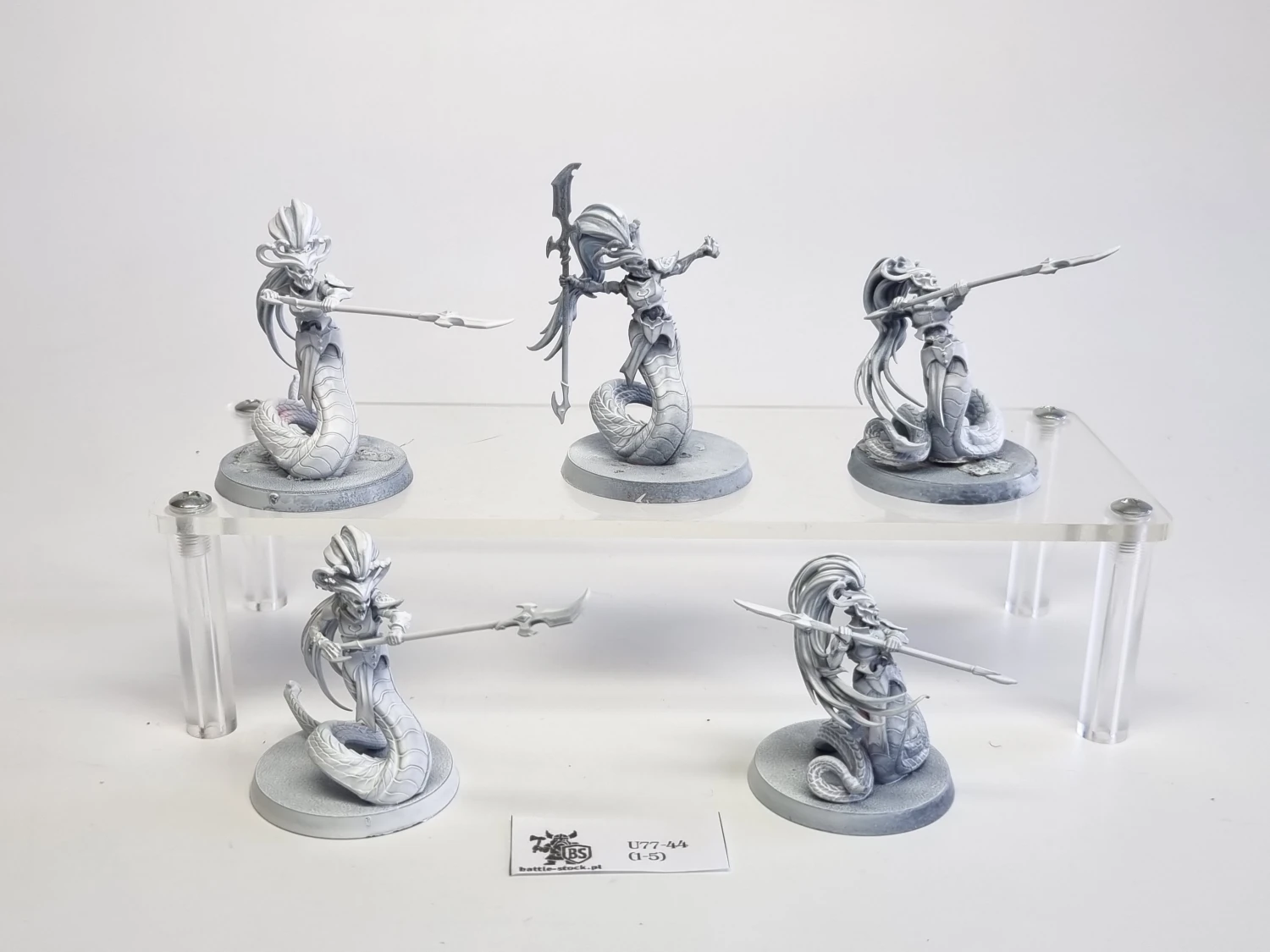 AoS blood stalkers / sisters