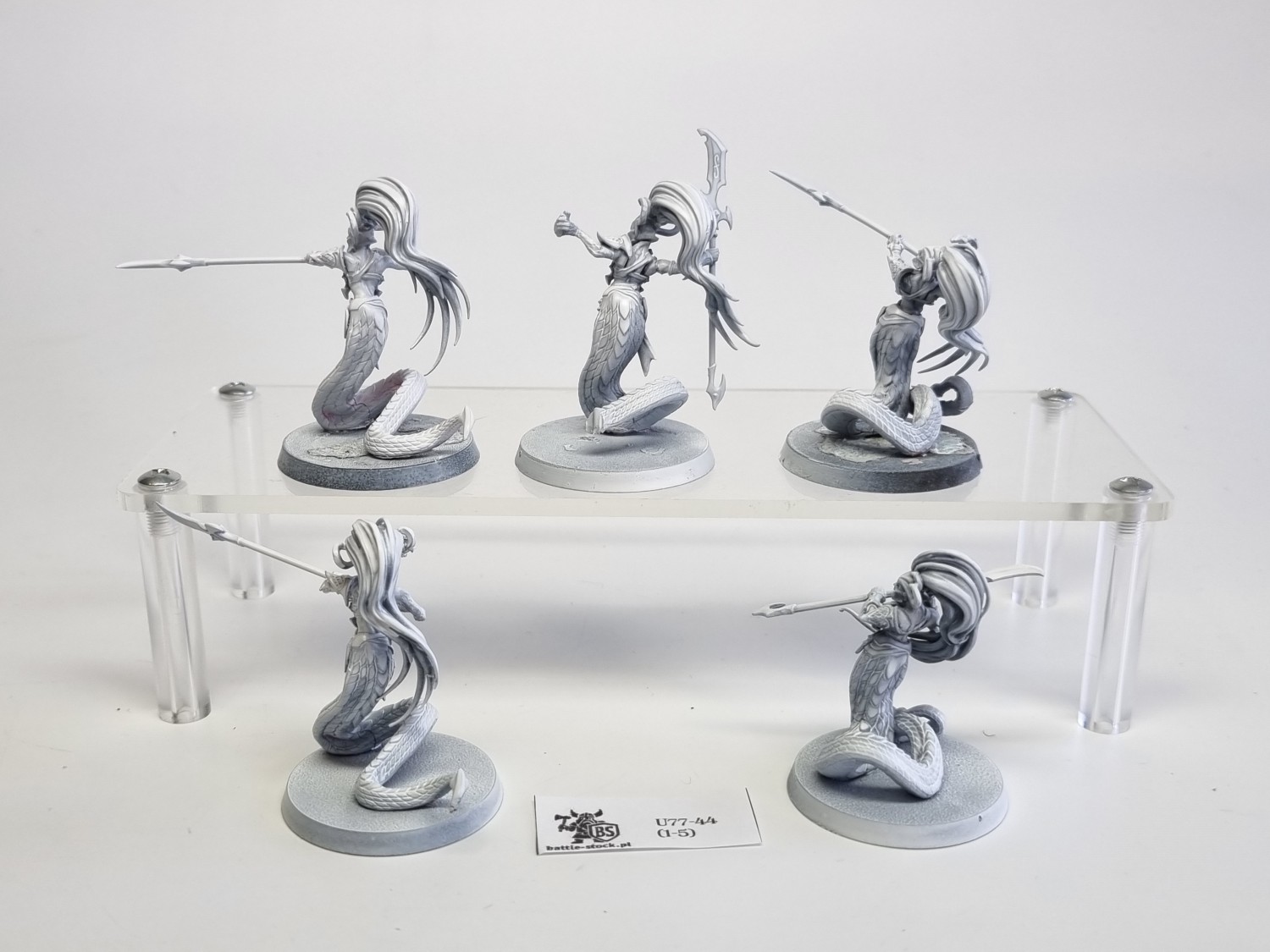 AoS blood stalkers / sisters
