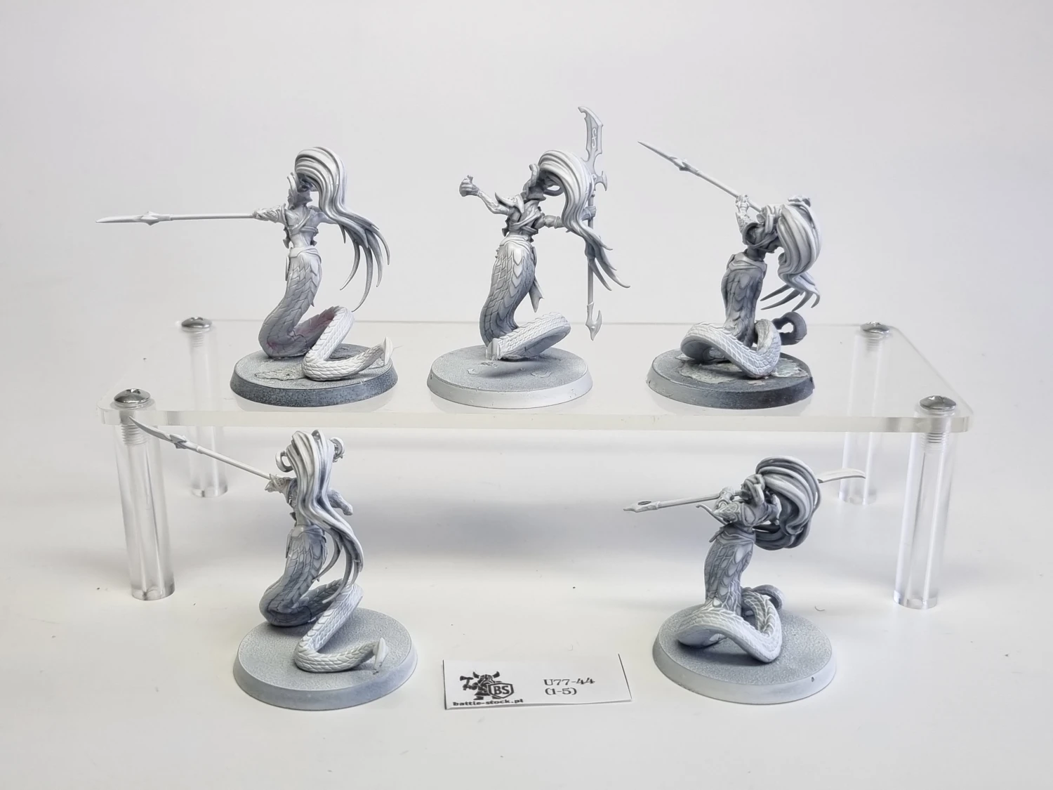AoS blood stalkers / sisters