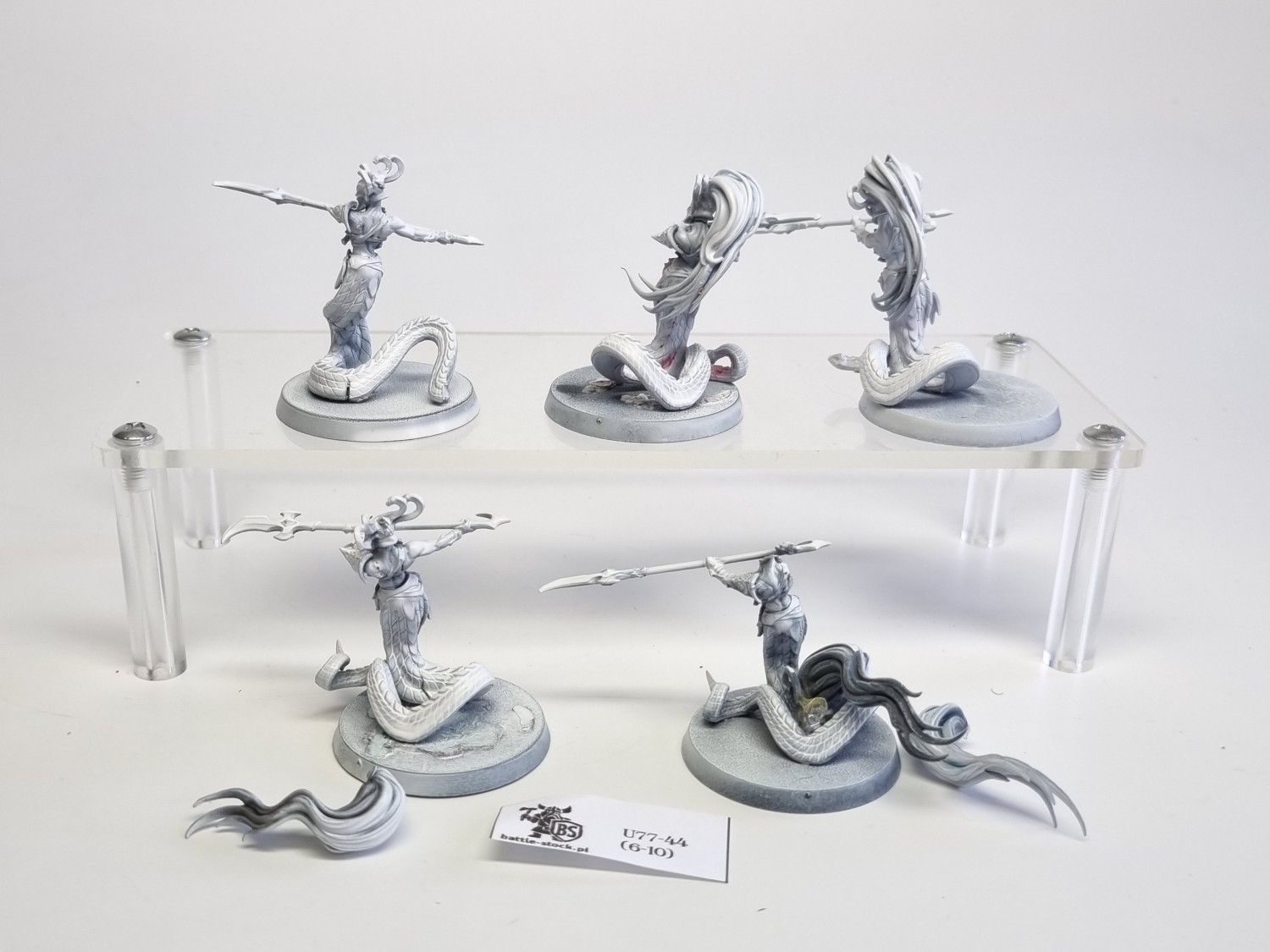 AoS blood stalkers / sisters