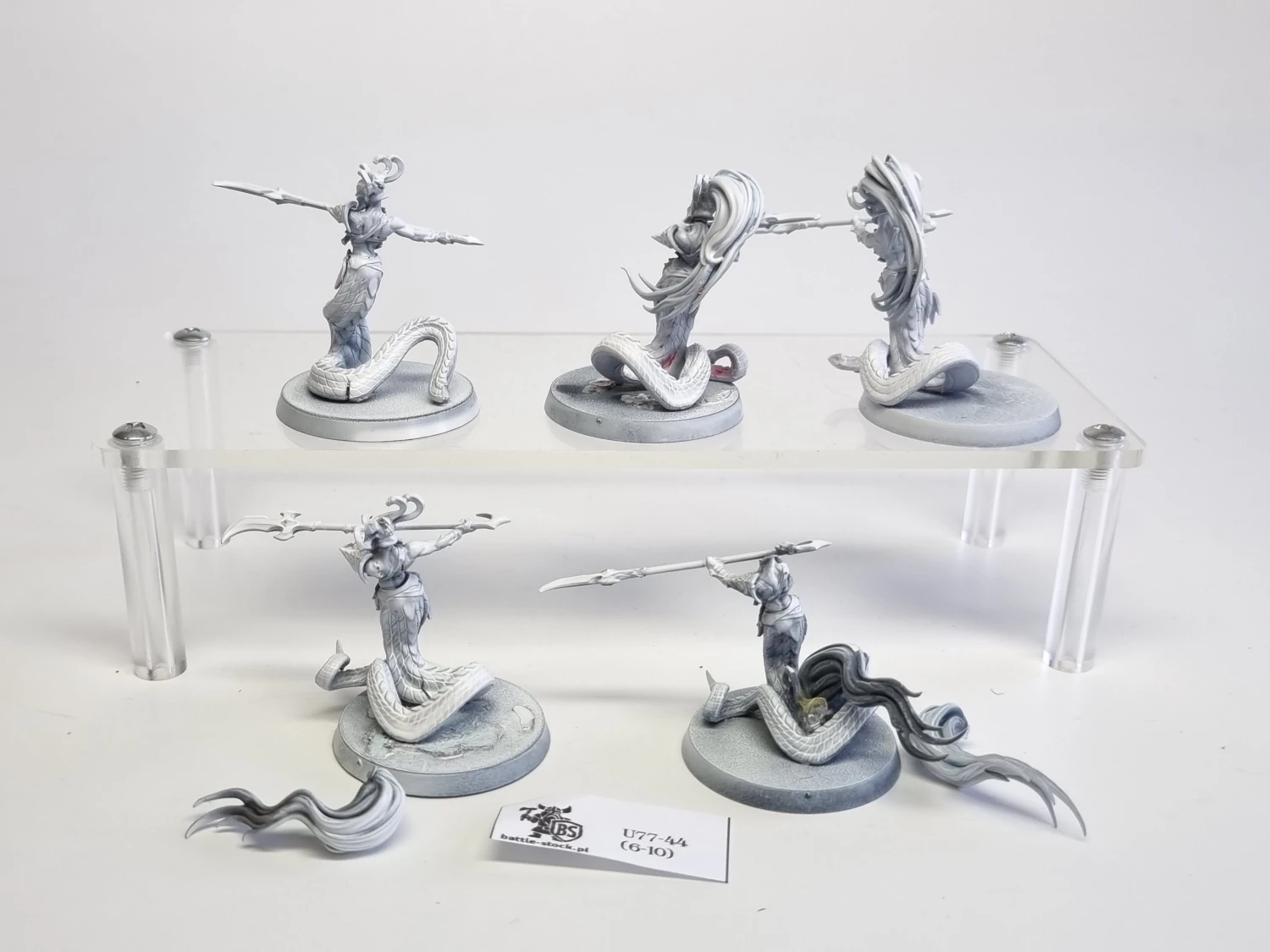 AoS blood stalkers / sisters