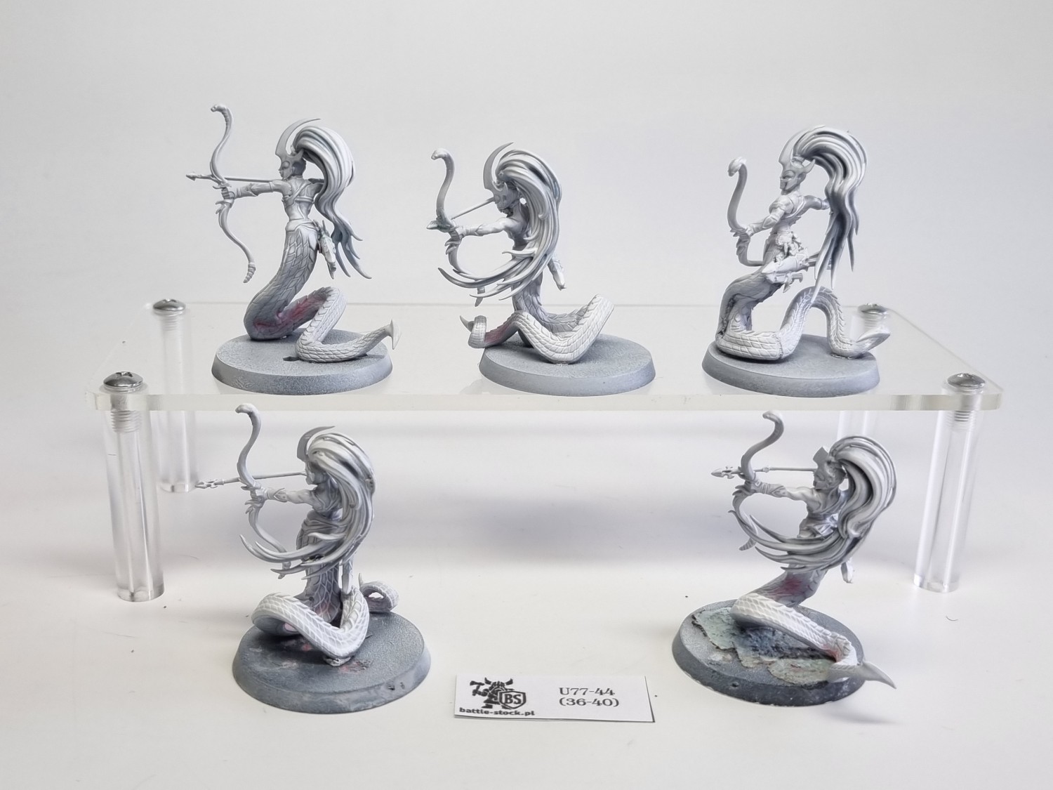 AoS blood stalkers / sisters