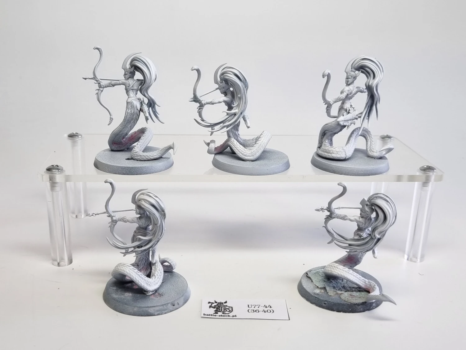 AoS blood stalkers / sisters