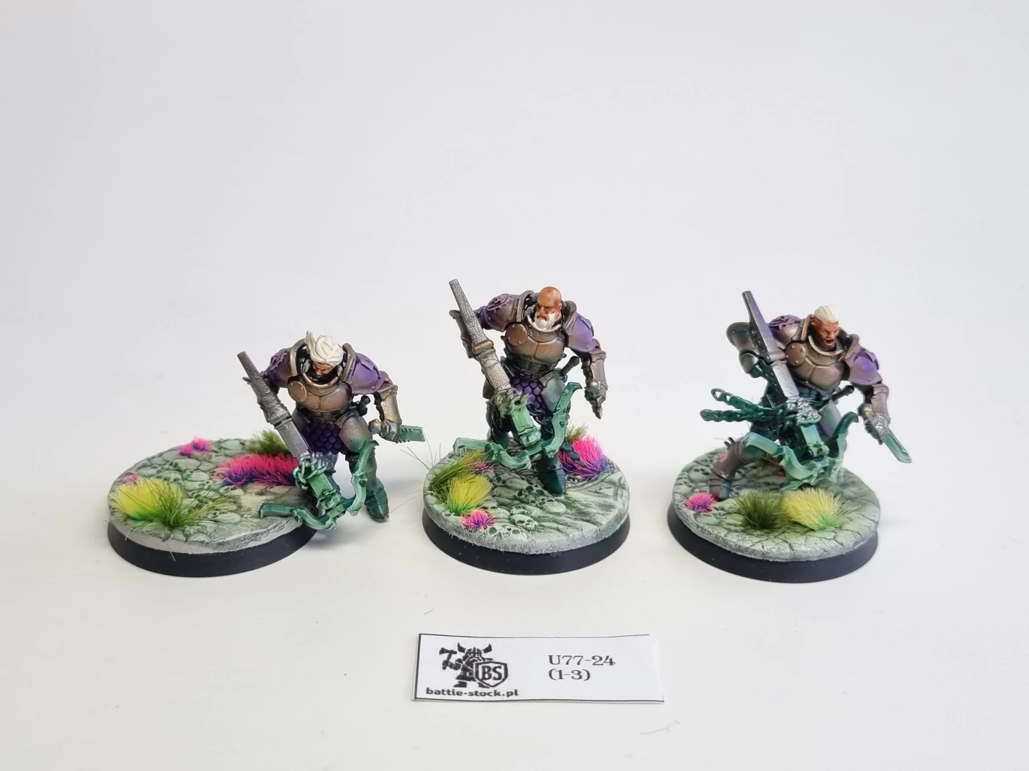 AoS SCE vanguard raptors konwersje