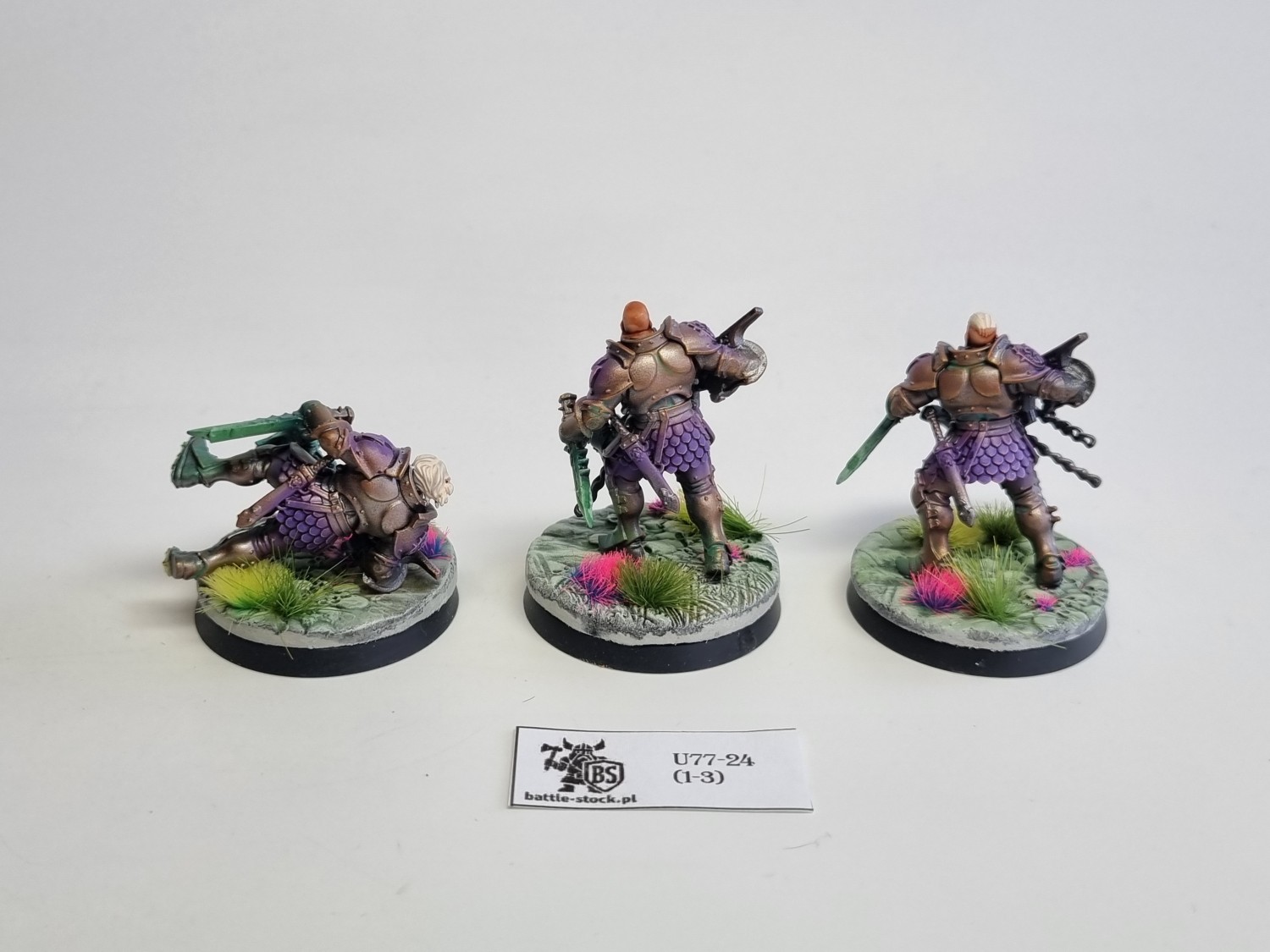 AoS SCE vanguard raptors konwersje