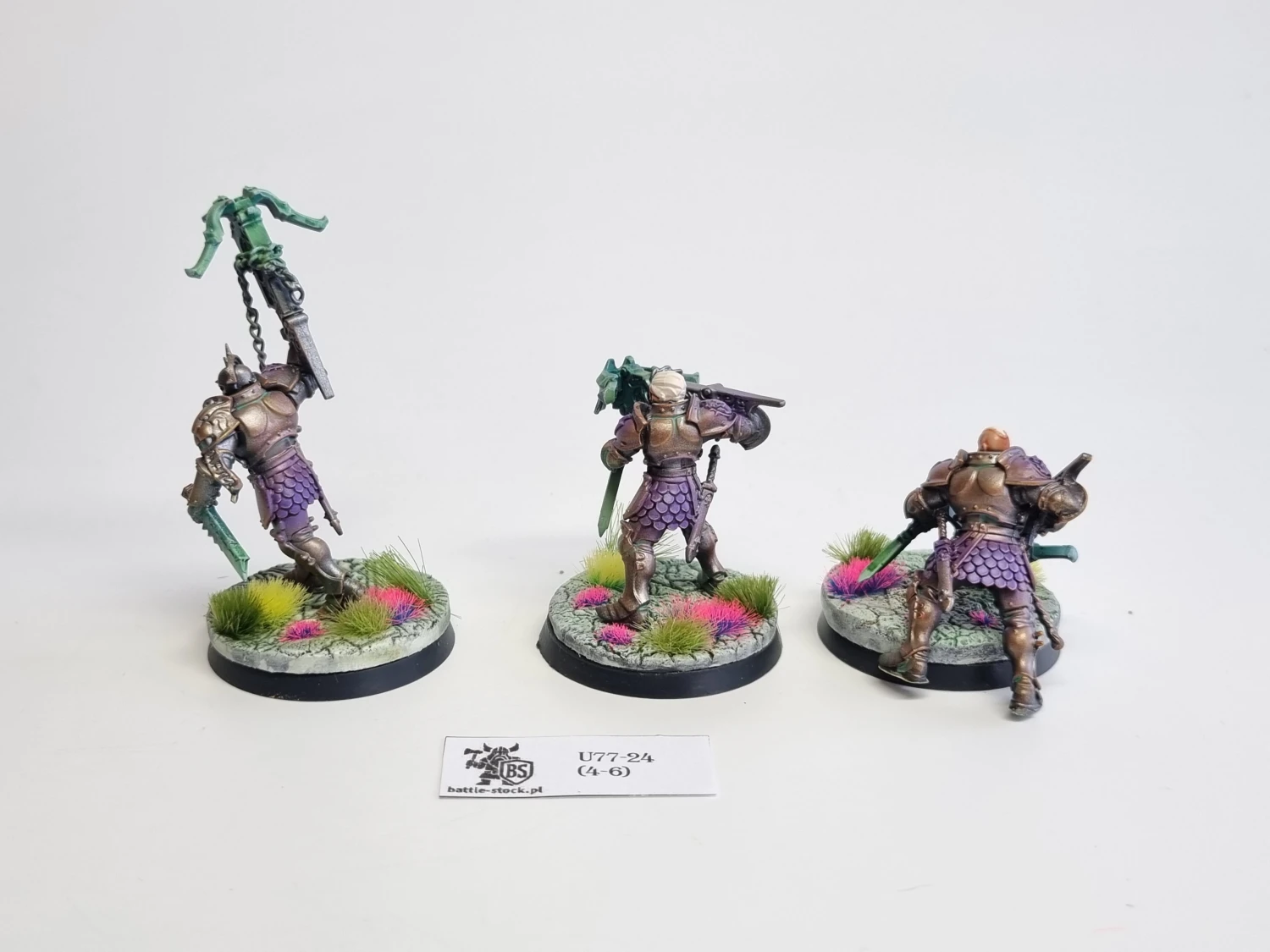 AoS SCE vanguard raptors konwersje