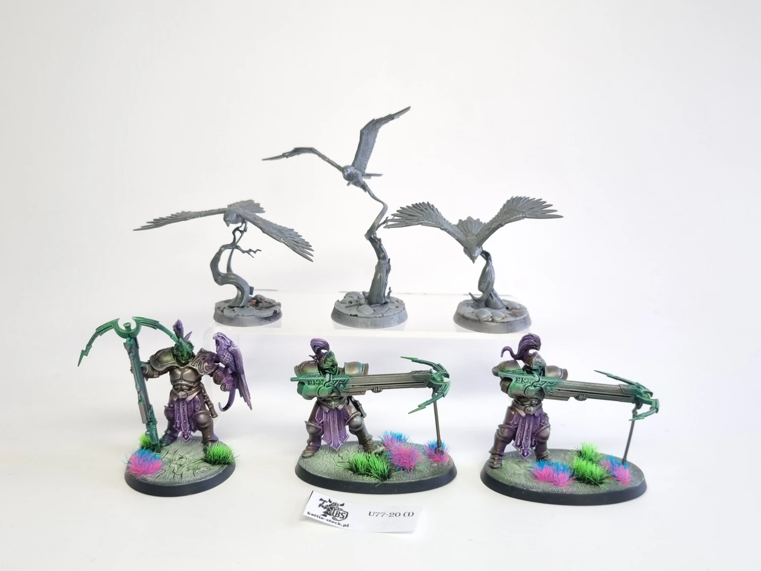 AoS SCE Vanguard-Raptors With Longstrike Crossbows &amp; Aetherwings zestaw