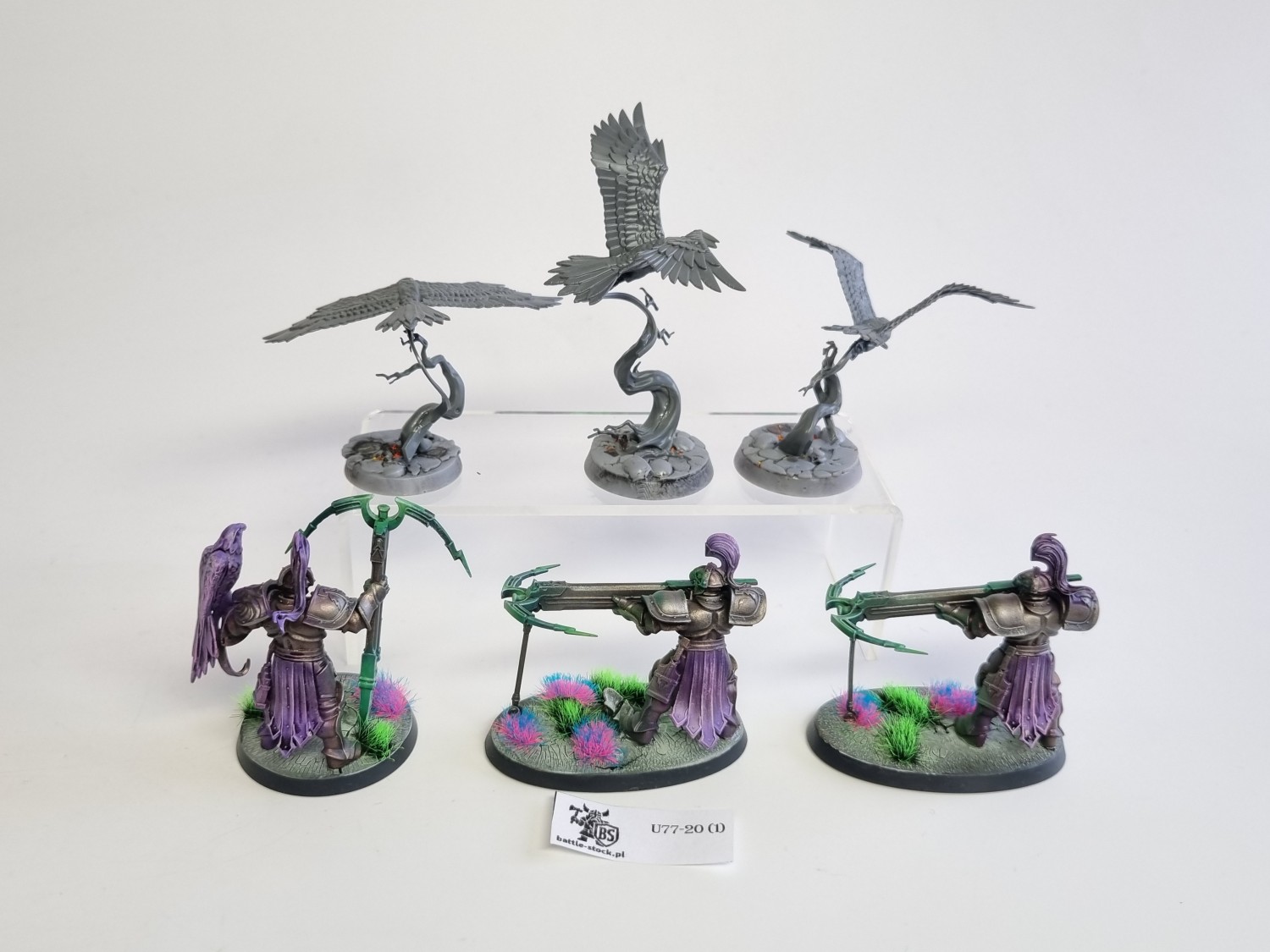 AoS SCE Vanguard-Raptors With Longstrike Crossbows &amp; Aetherwings zestaw