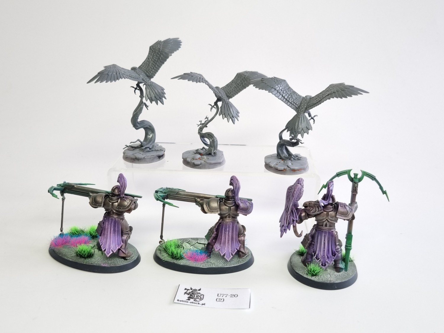 AoS SCE Vanguard-Raptors With Longstrike Crossbows &amp; Aetherwings zestaw