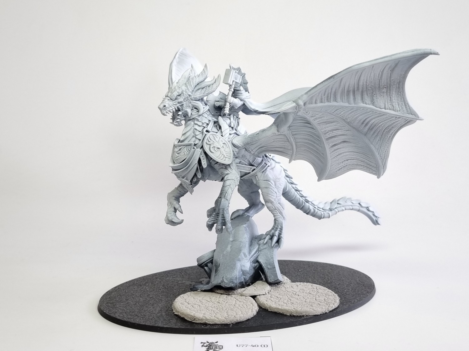 Spartancast stormdrake guard