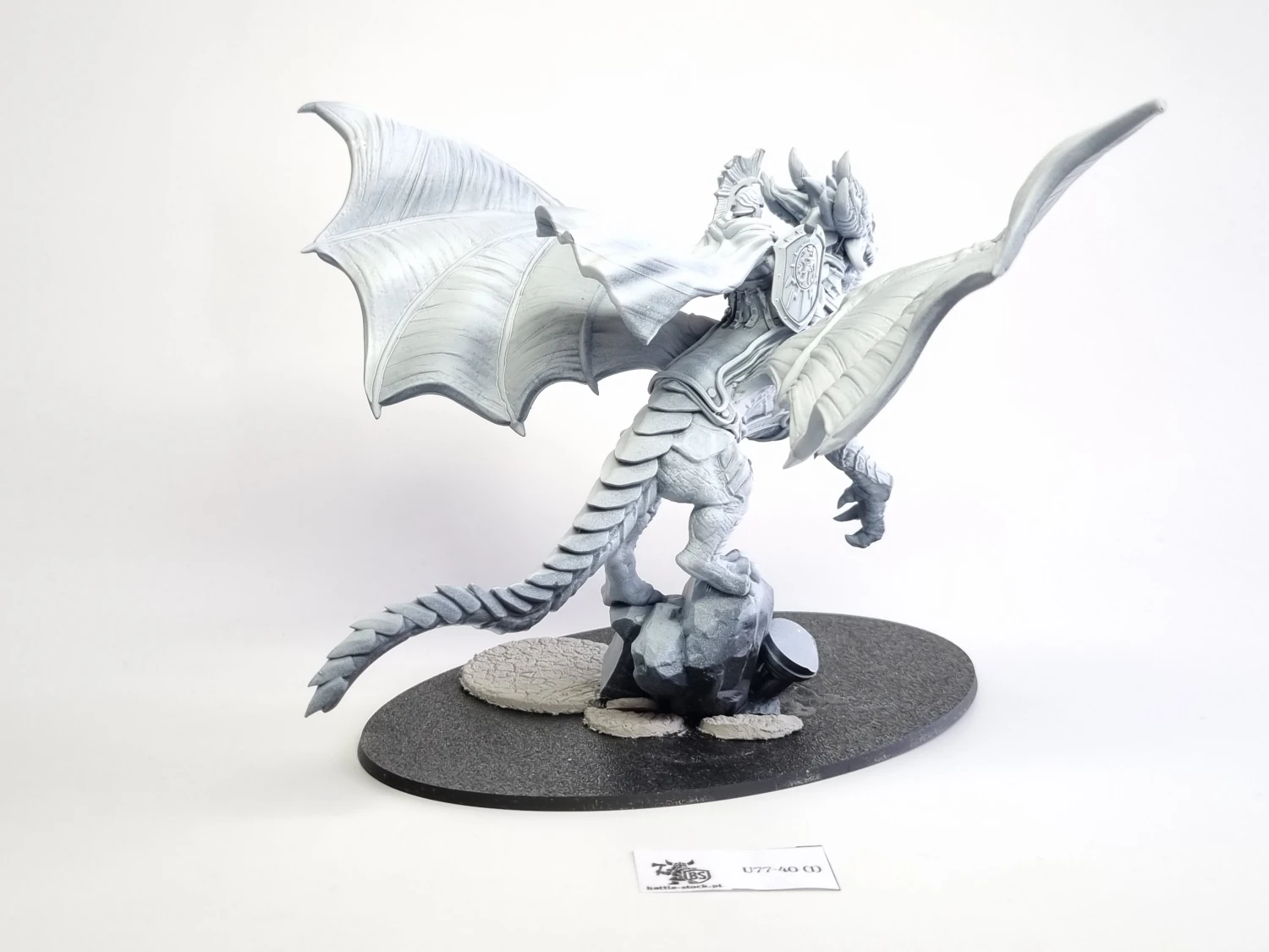 Spartancast stormdrake guard