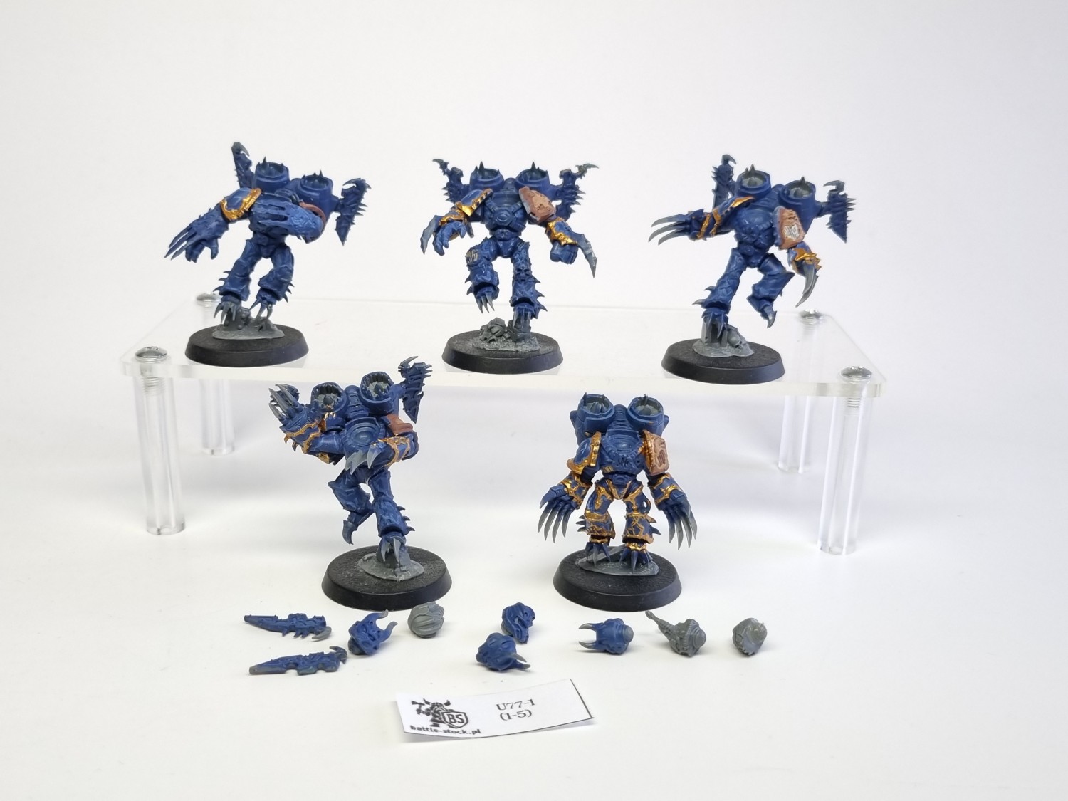 40k raptors / talons