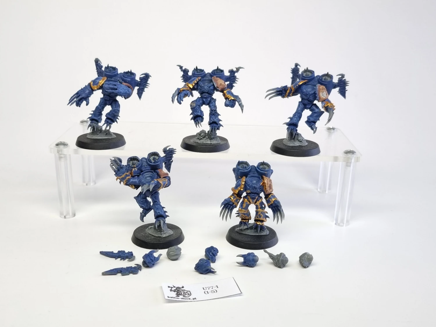 40k raptors / talons