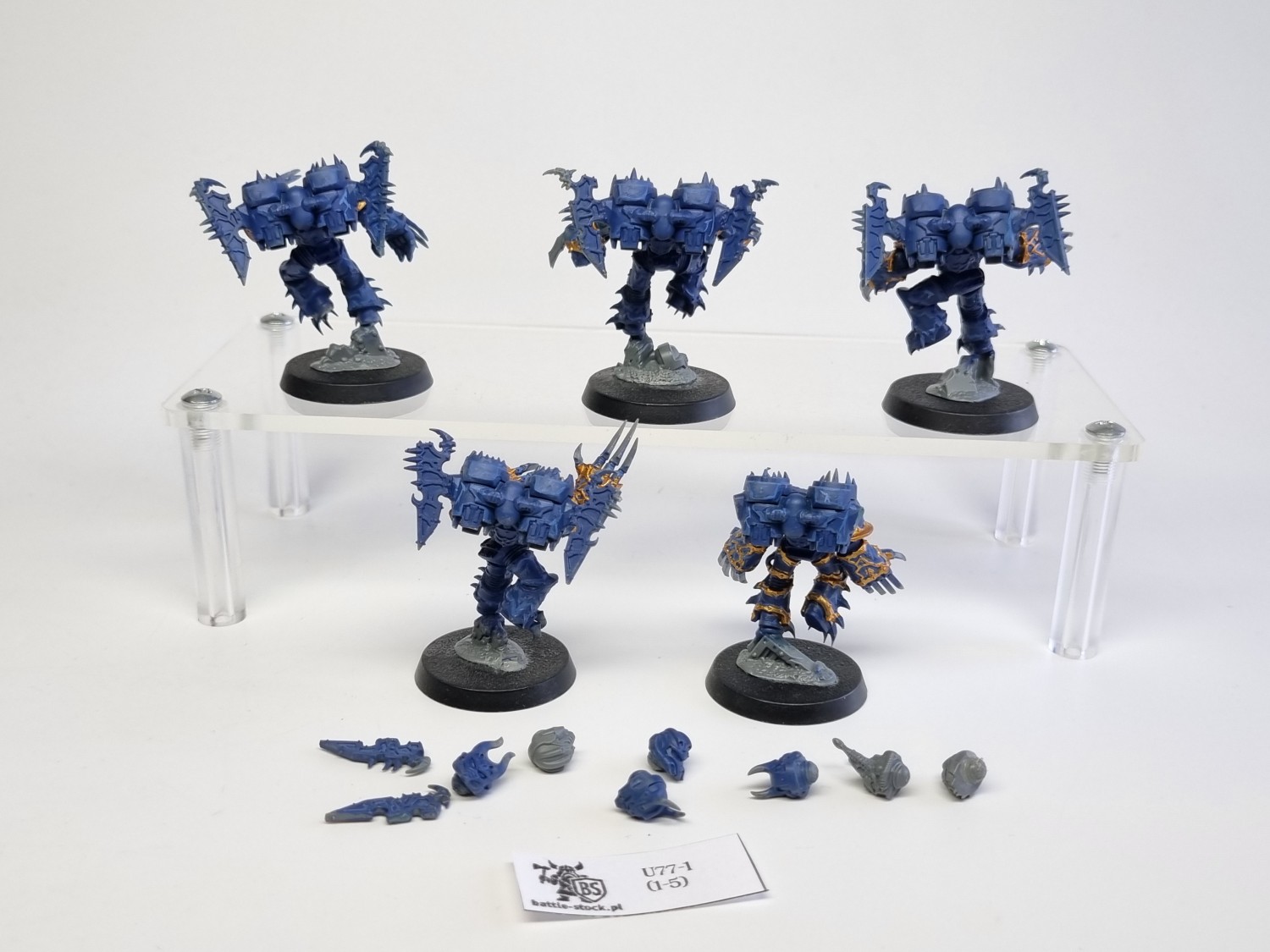 40k raptors / talons