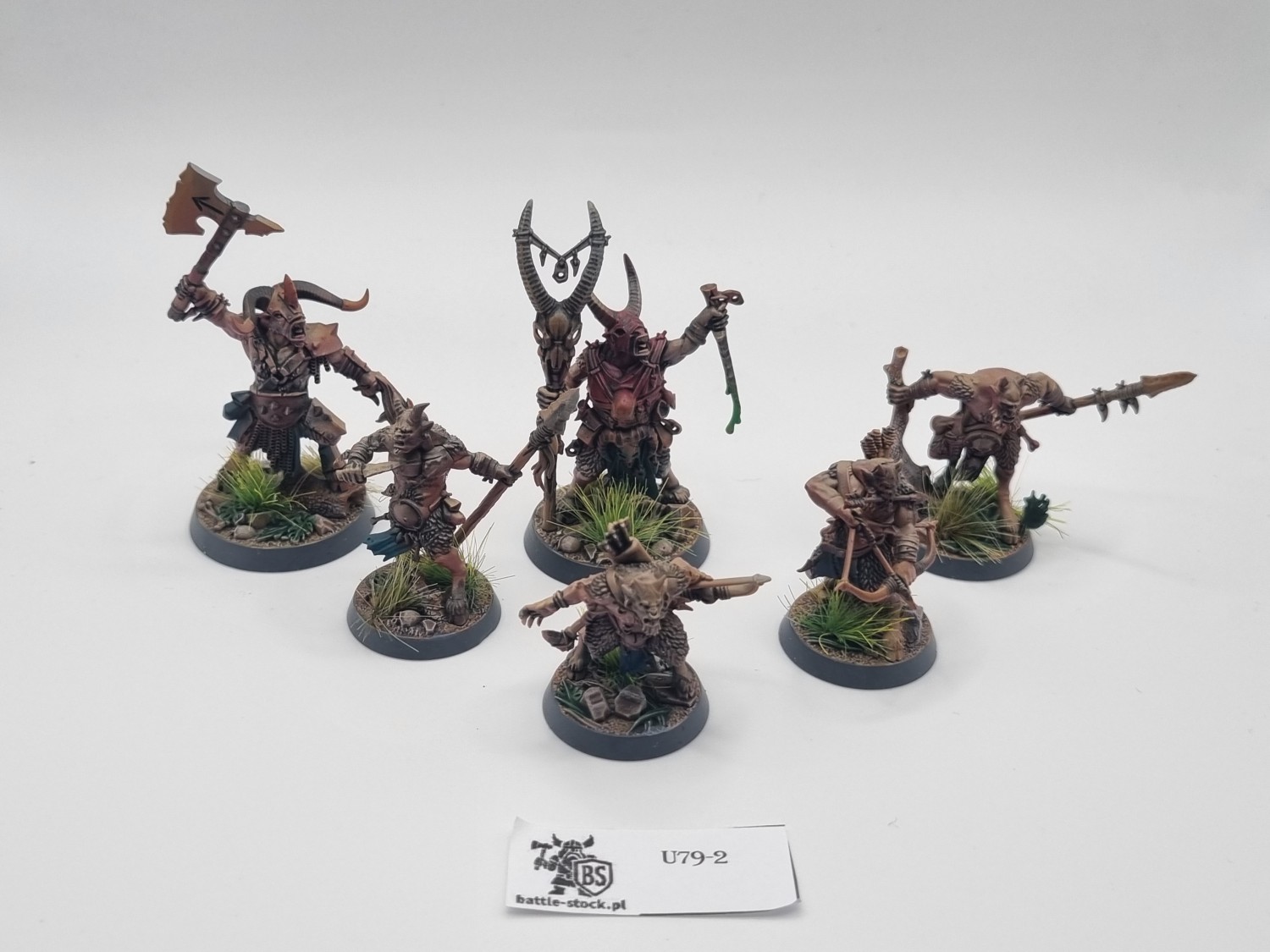 Grashrak's despoilers warband