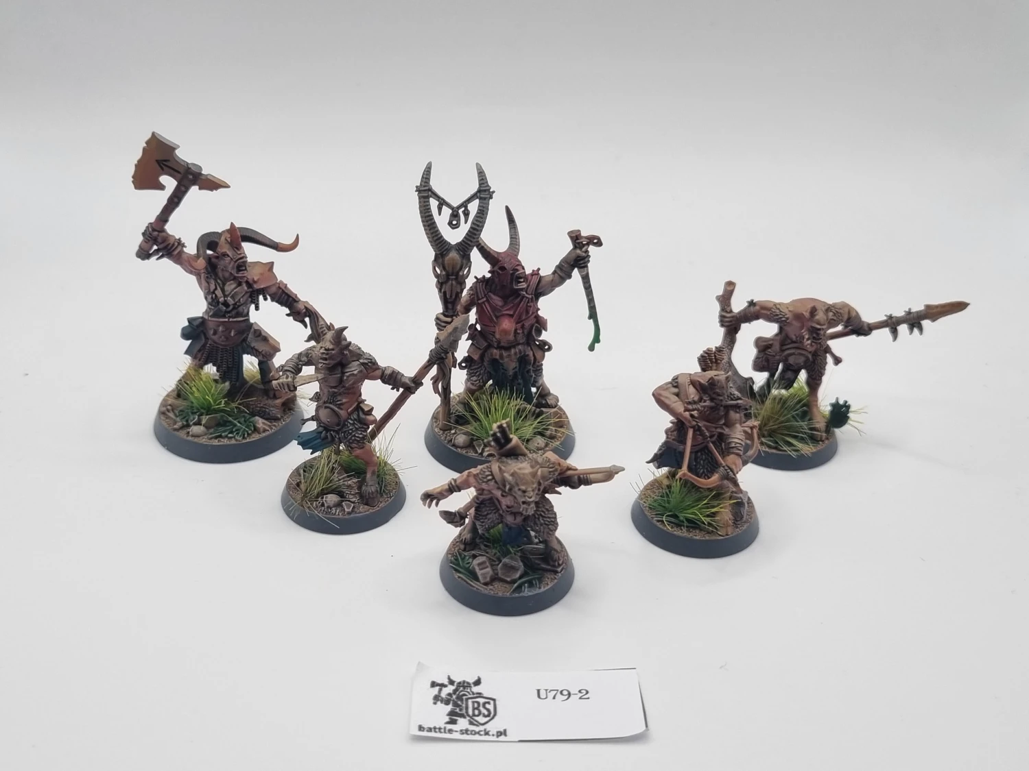 Grashrak's despoilers warband