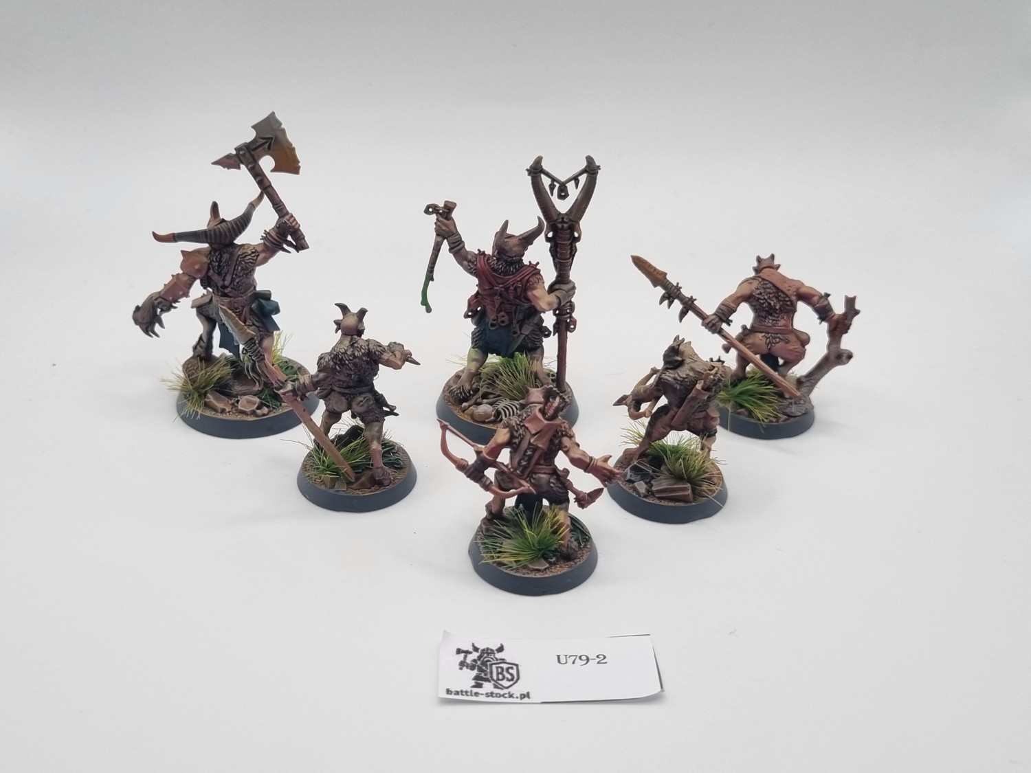 Grashrak's despoilers warband