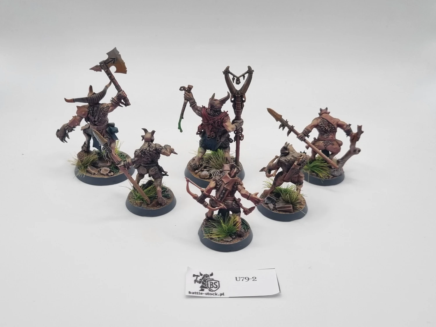 Grashrak's despoilers warband