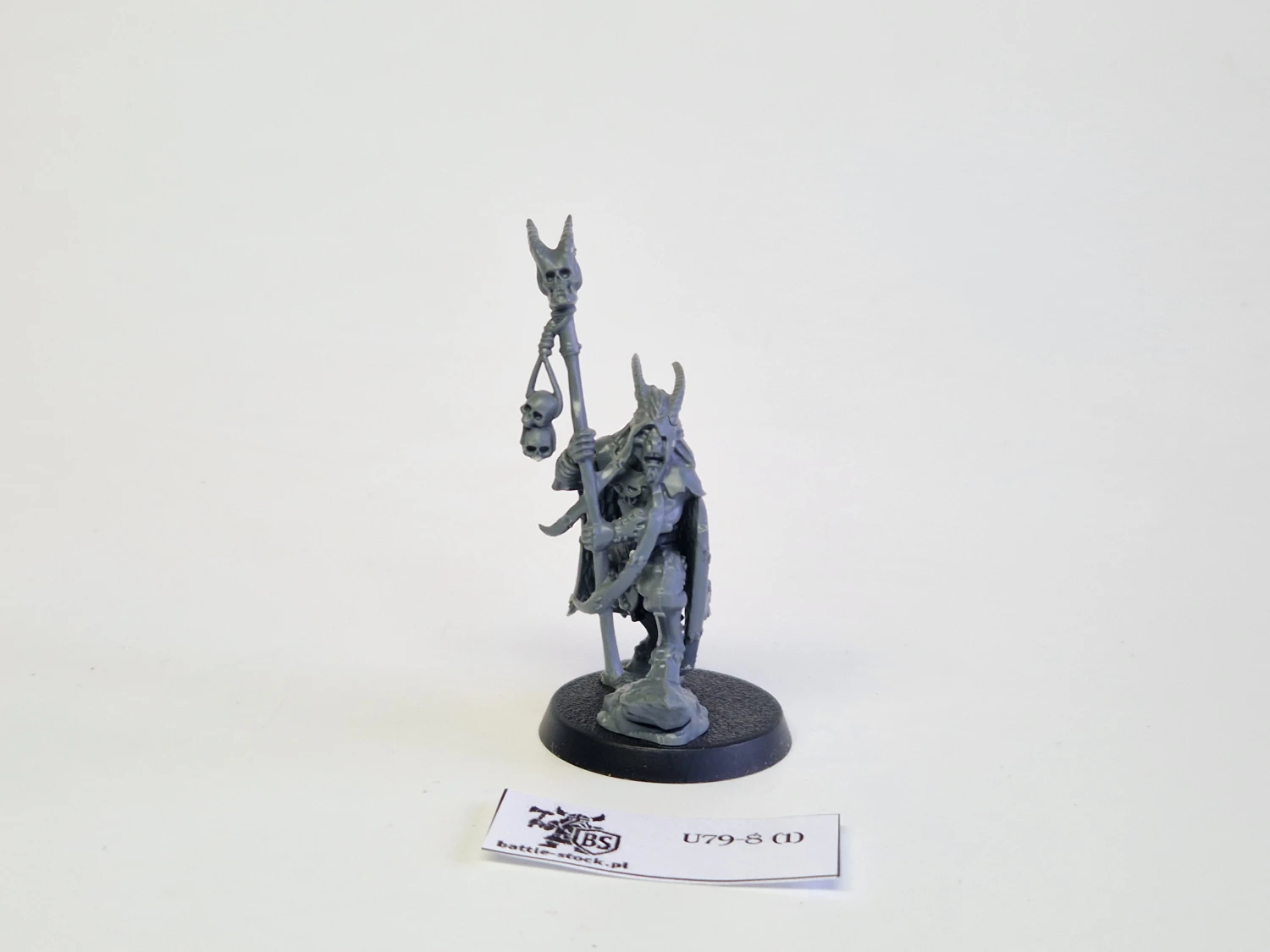 WFB beastmen shaman