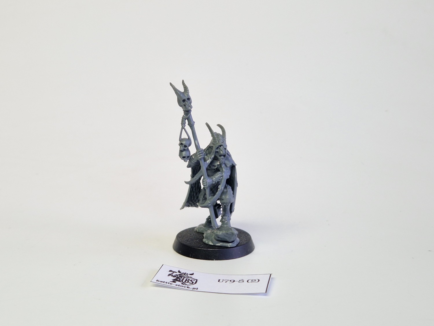 WFB beastmen shaman