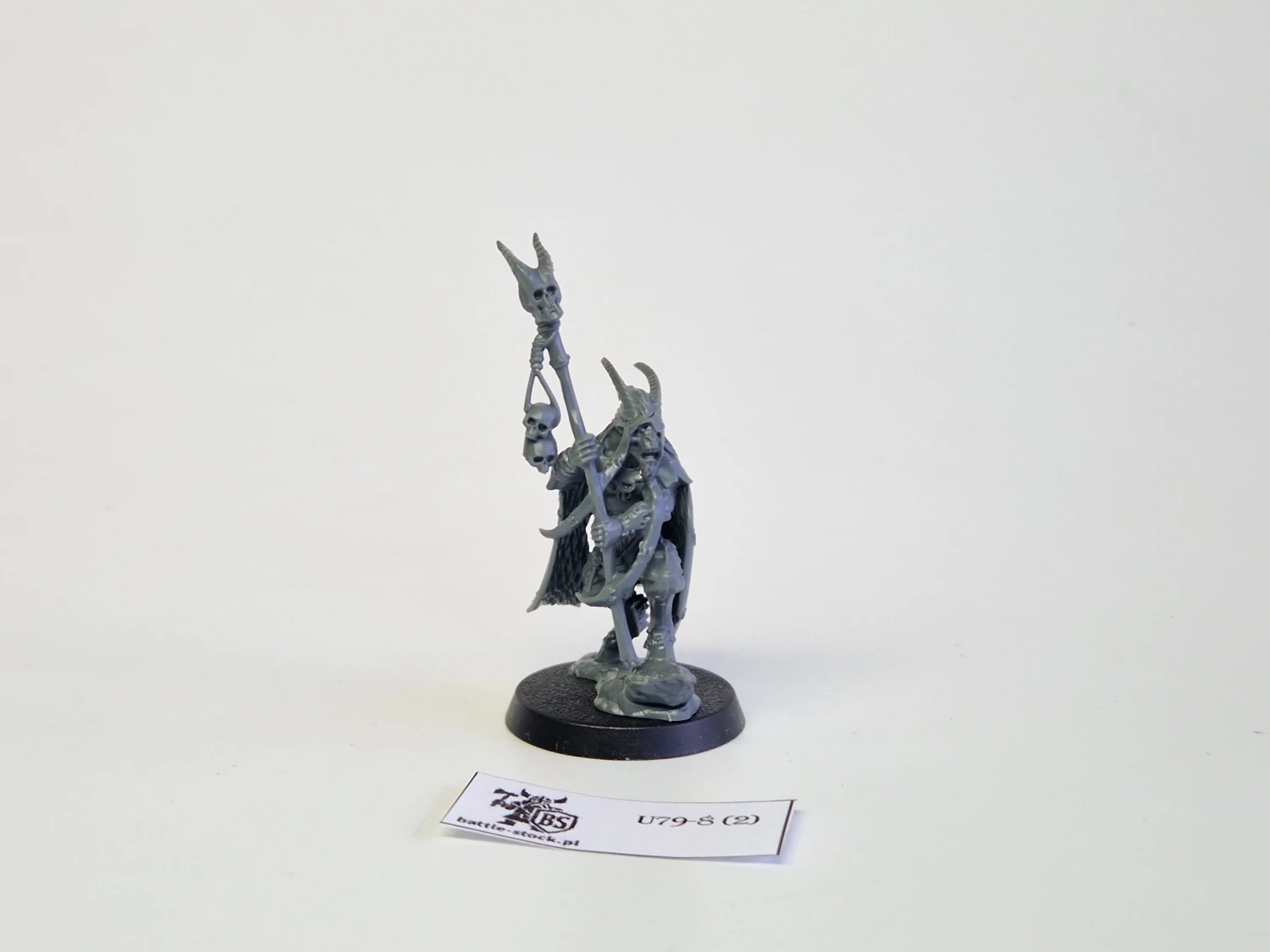 WFB beastmen shaman