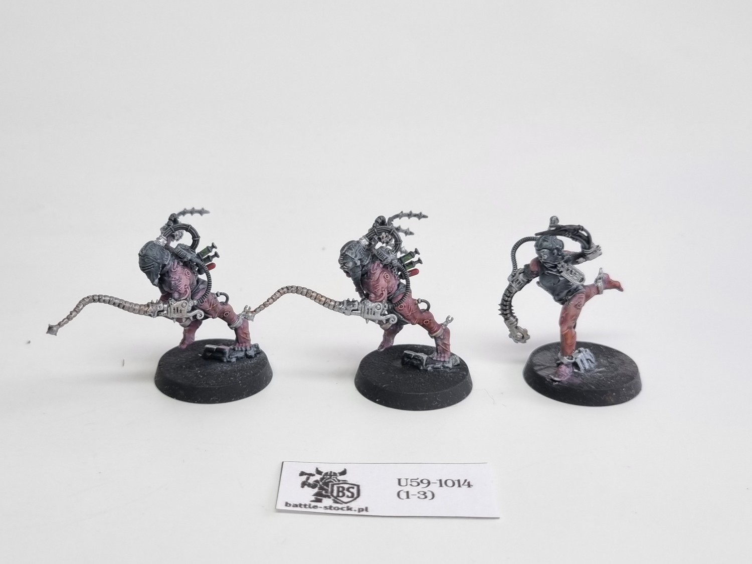 WFB arco-flagelants