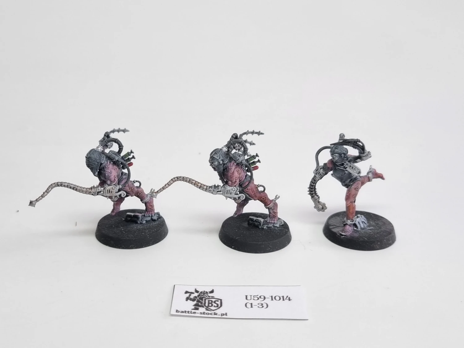 WFB arco-flagelants
