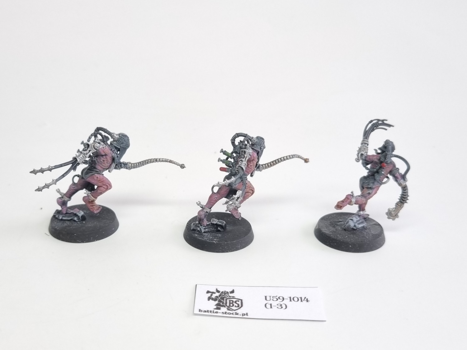 WFB arco-flagelants