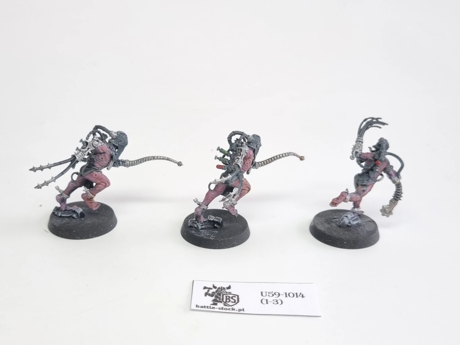 WFB arco-flagelants