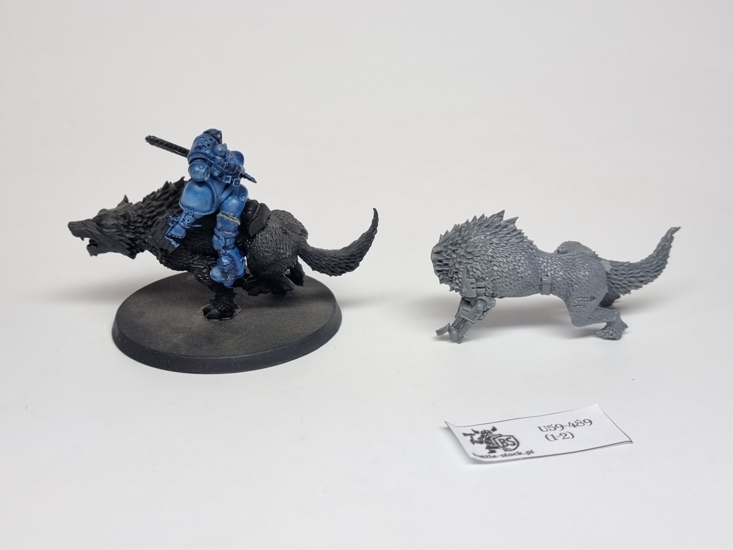 40k wybrakowane wilki SW