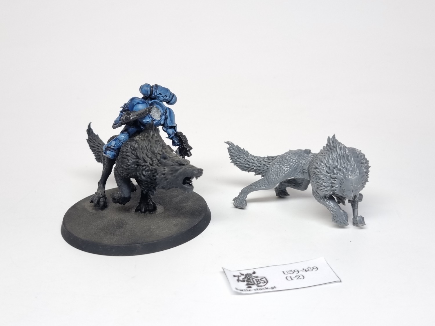 40k wybrakowane wilki SW