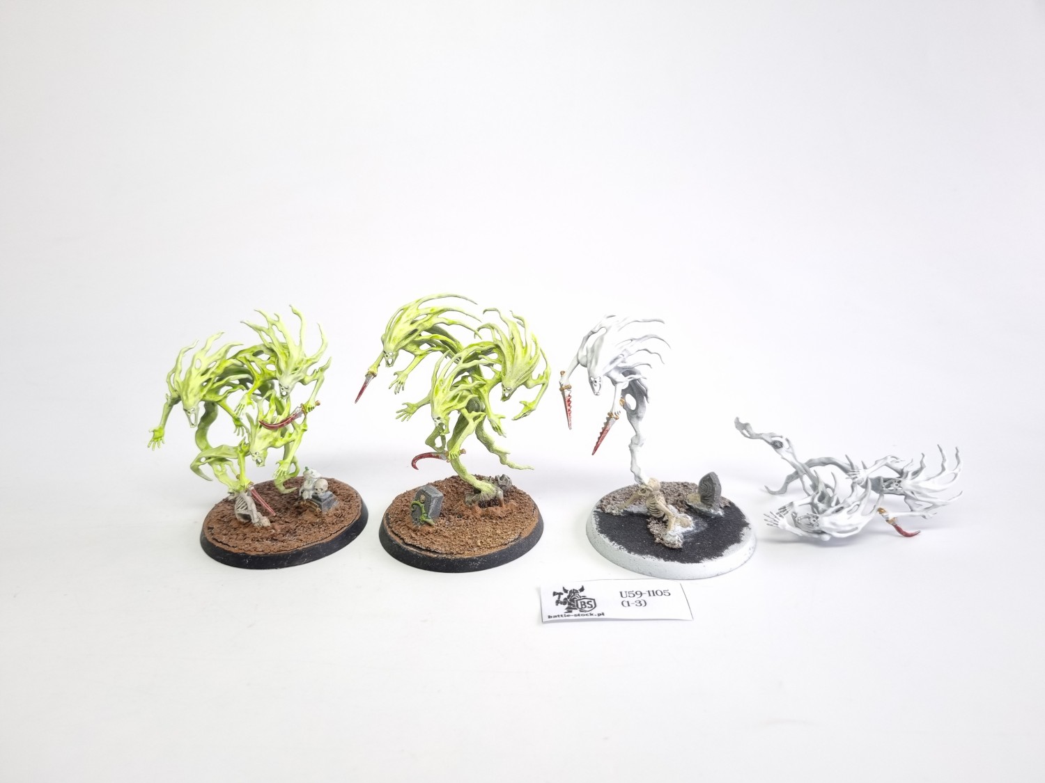 AoS spirit hosts