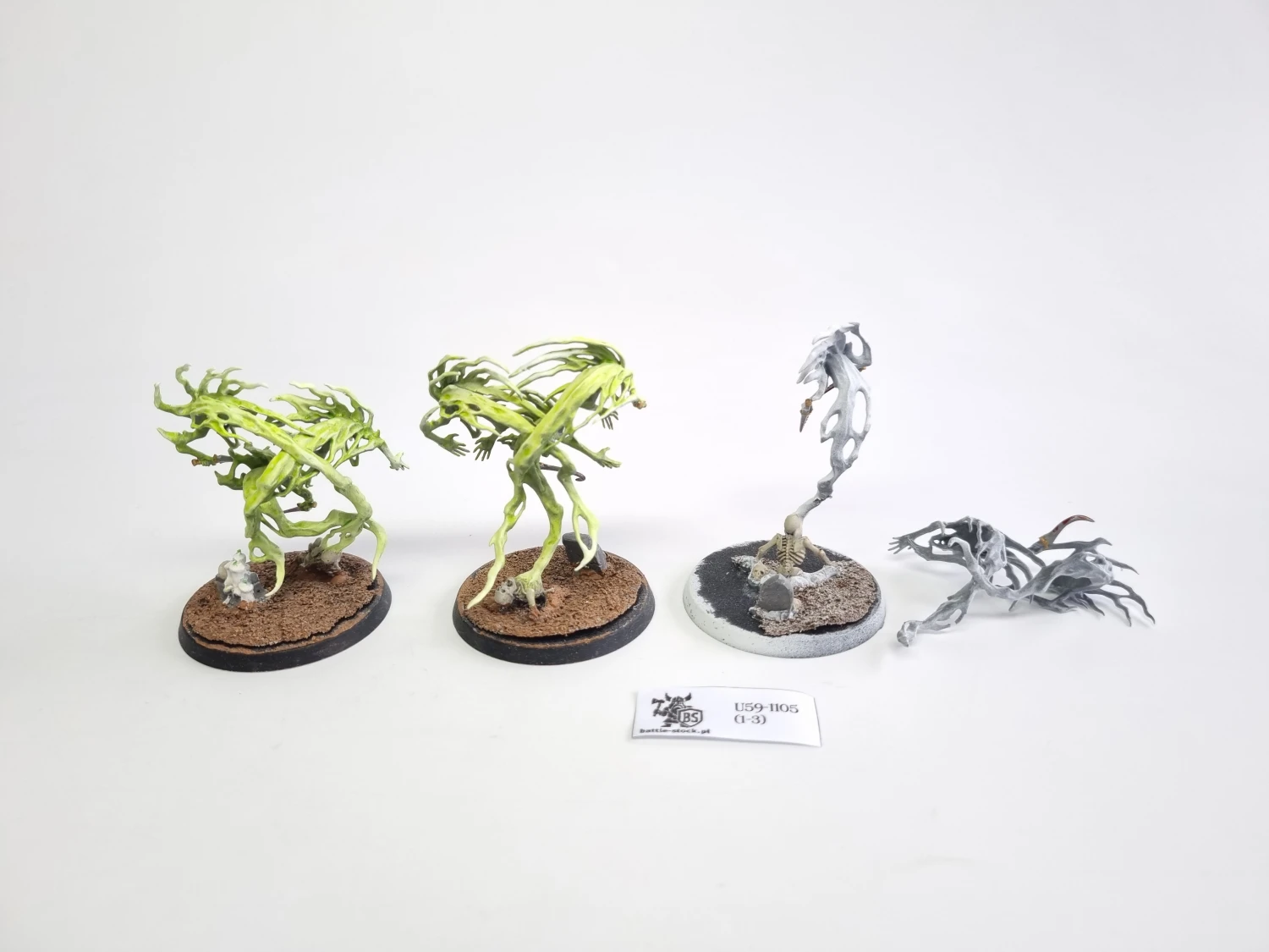 AoS spirit hosts