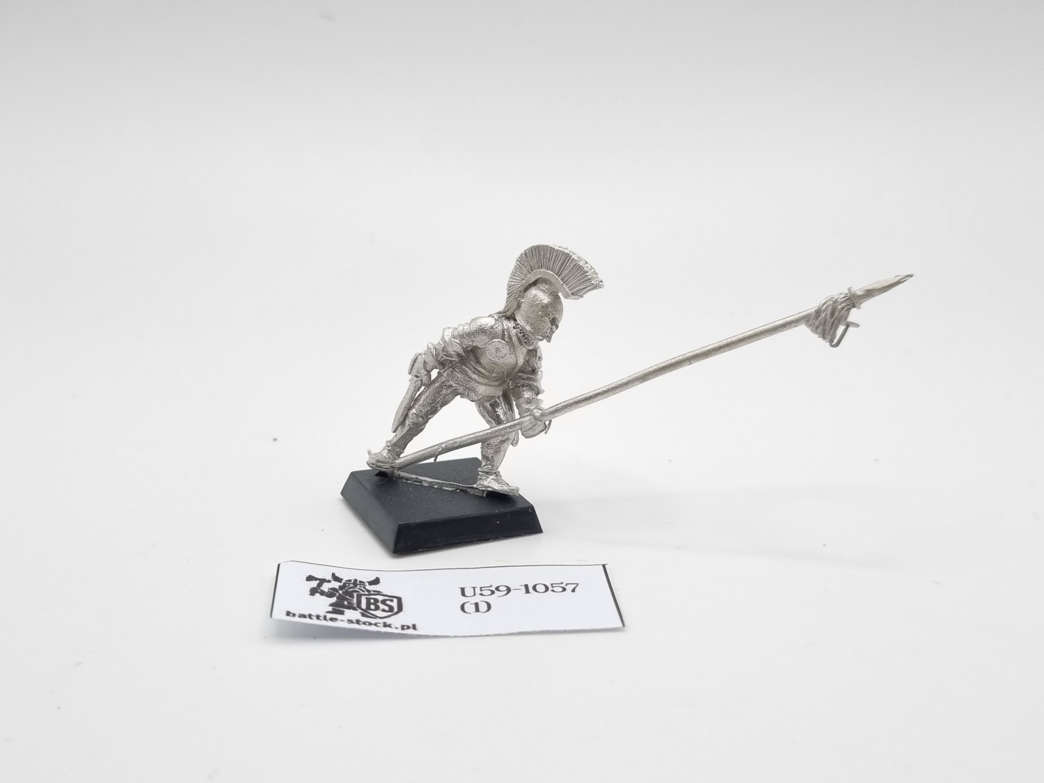 WFB alcatani's pikeman