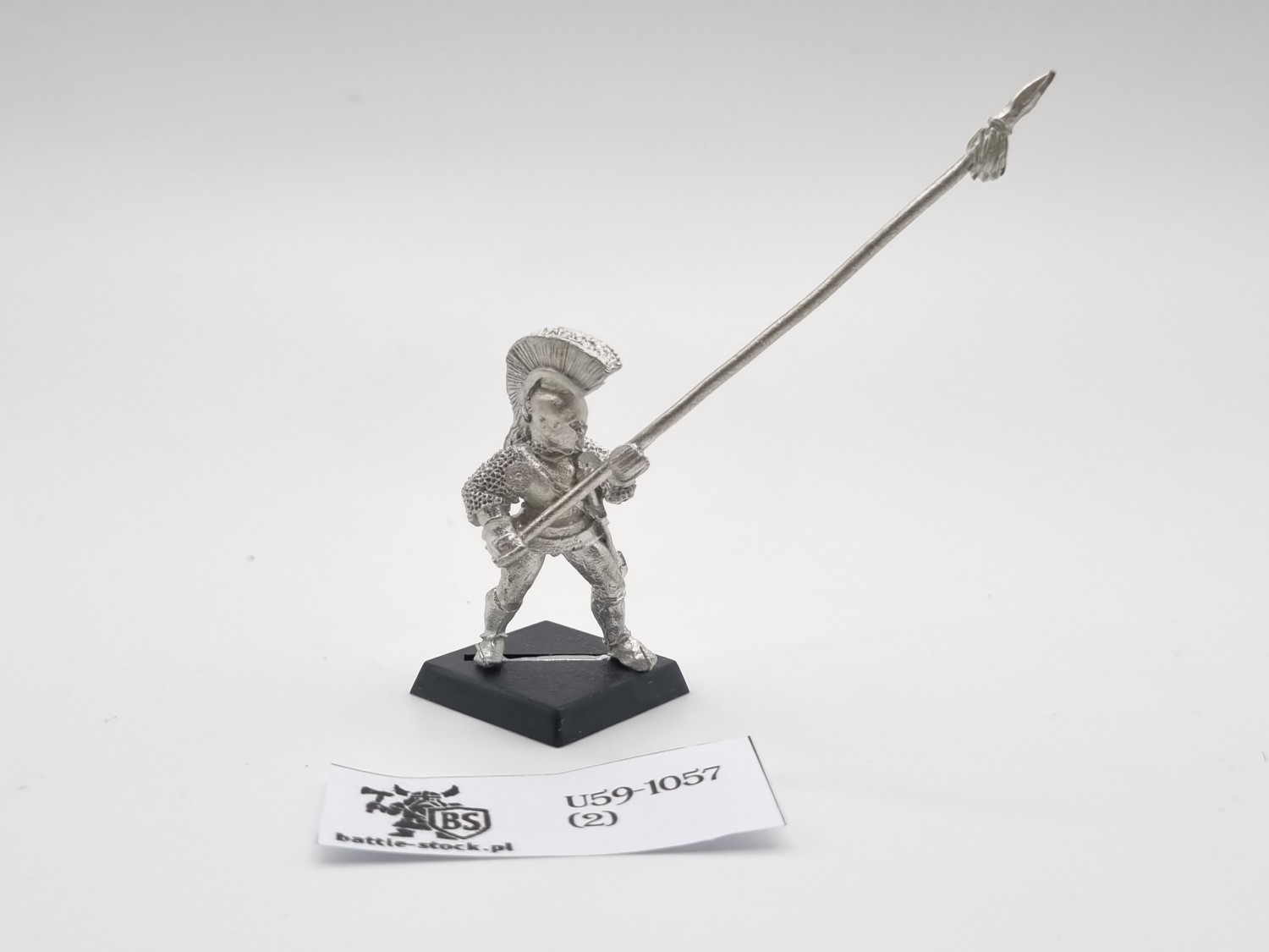 WFB alcatani's pikeman