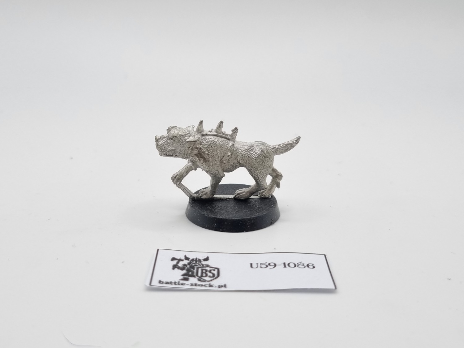 WFB piesek mordheim