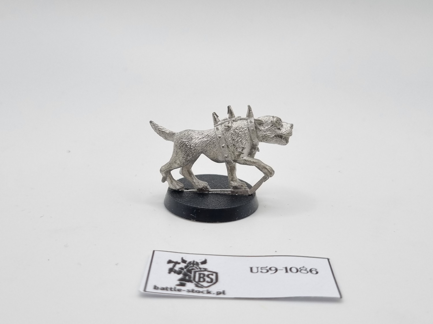 WFB piesek mordheim