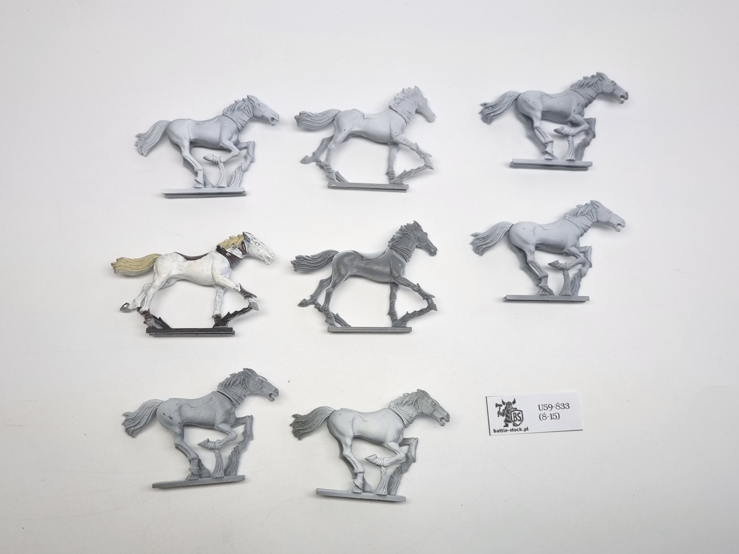 WFB glade riders same konie