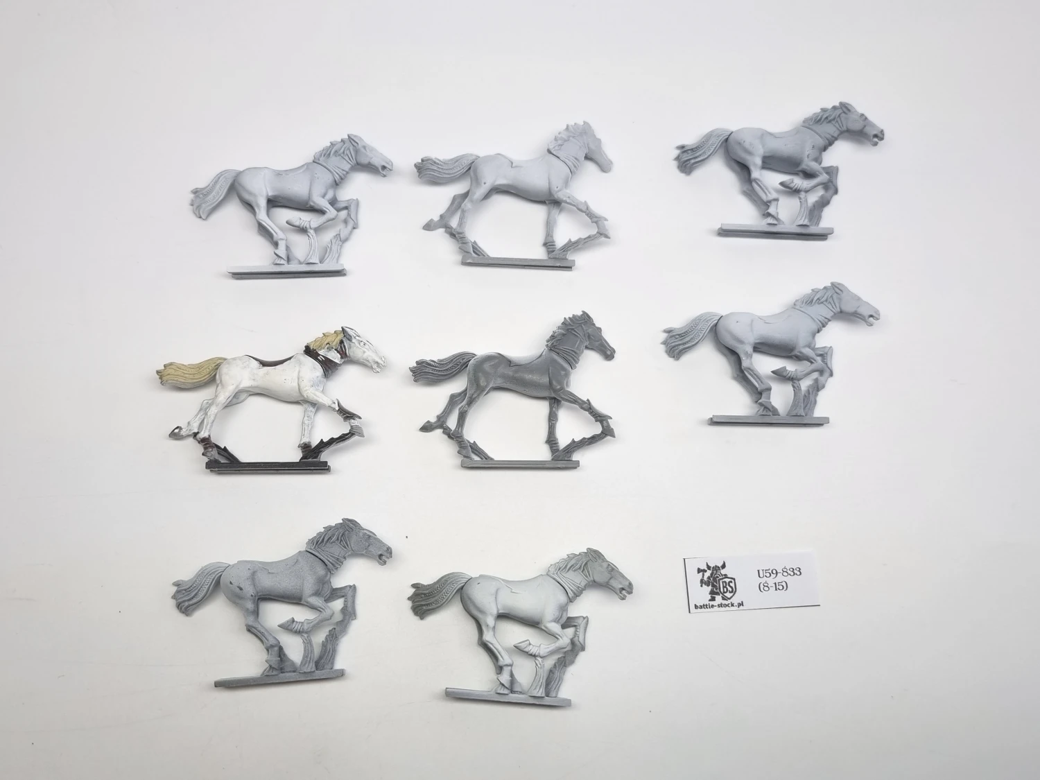 WFB glade riders same konie