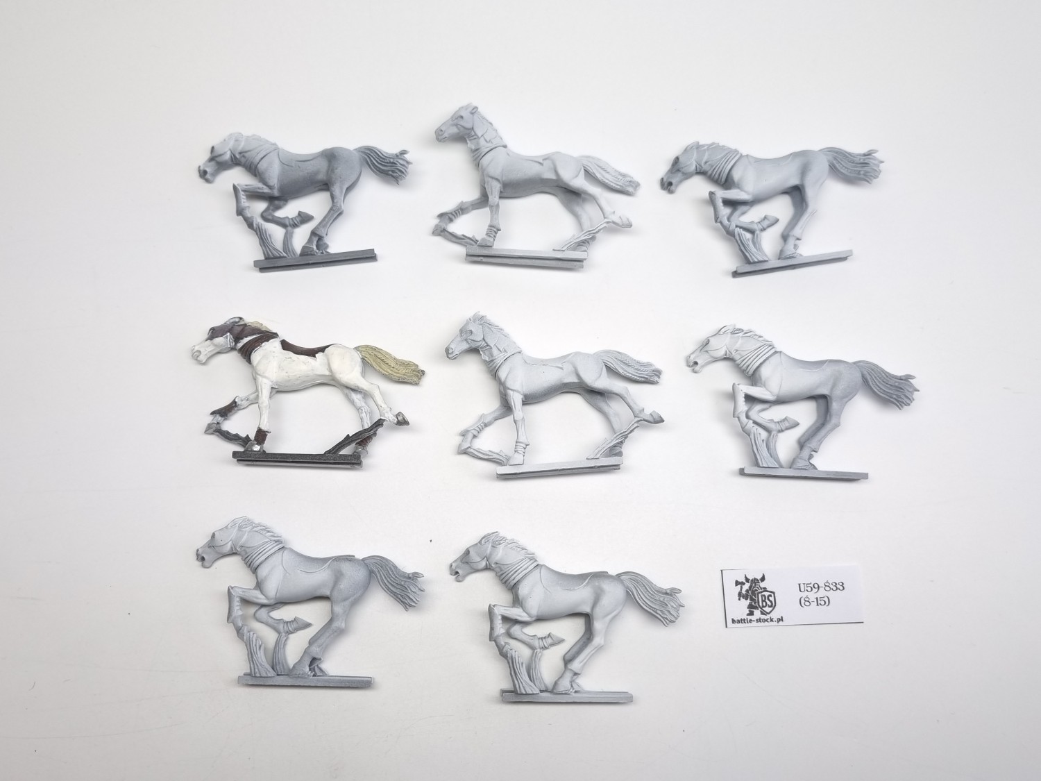 WFB glade riders same konie