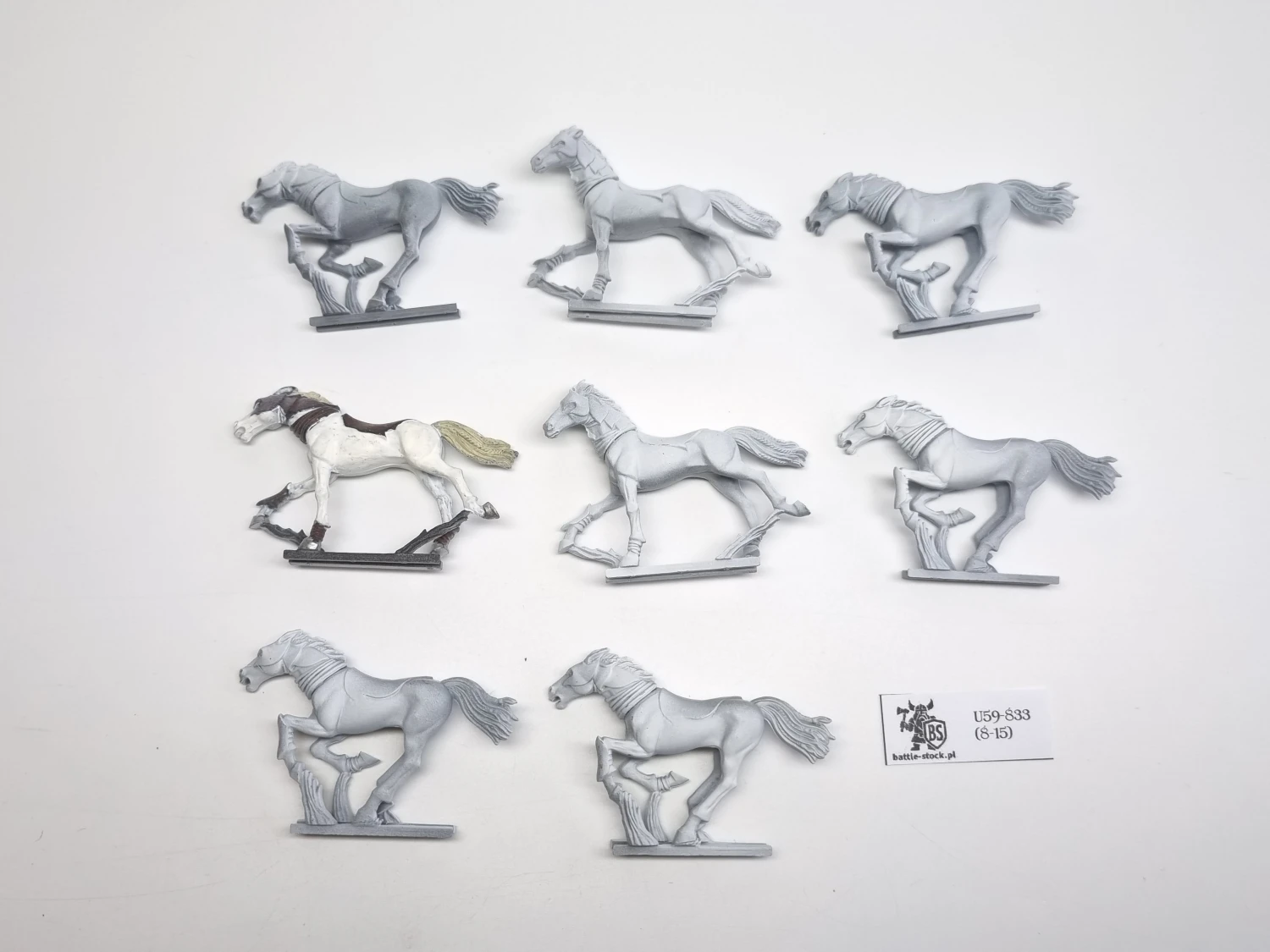 WFB glade riders same konie