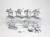 WFB glade riders