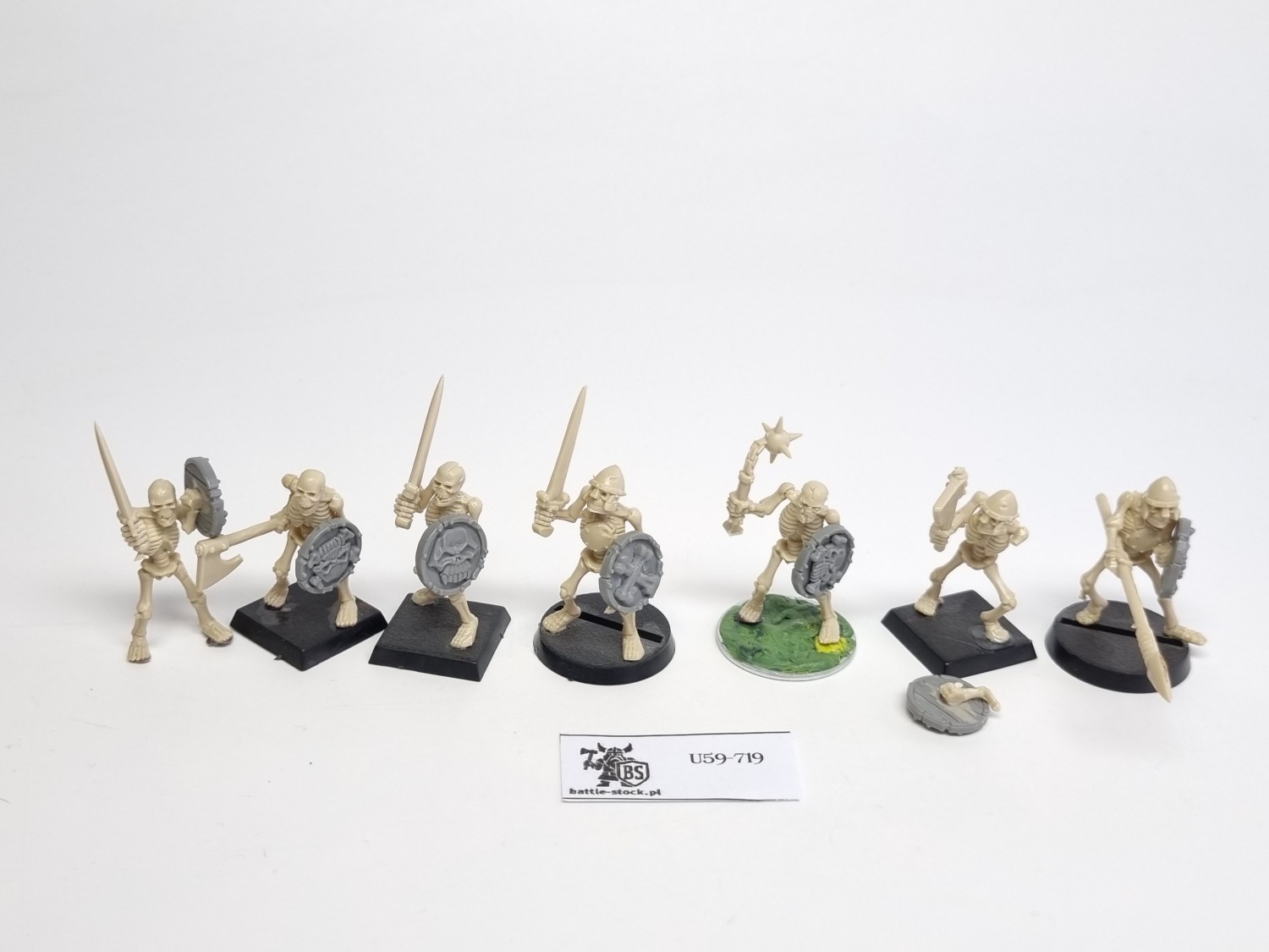 WFB zestaw 7 szkieletów P
