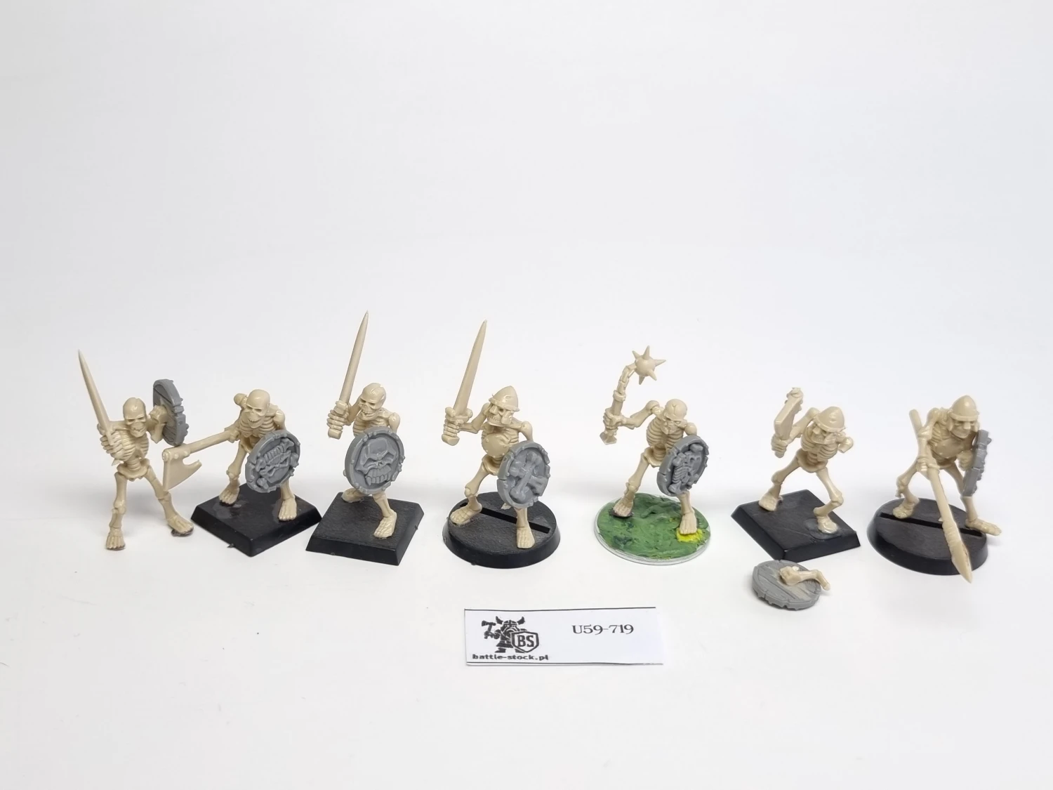 WFB zestaw 7 szkieletów P